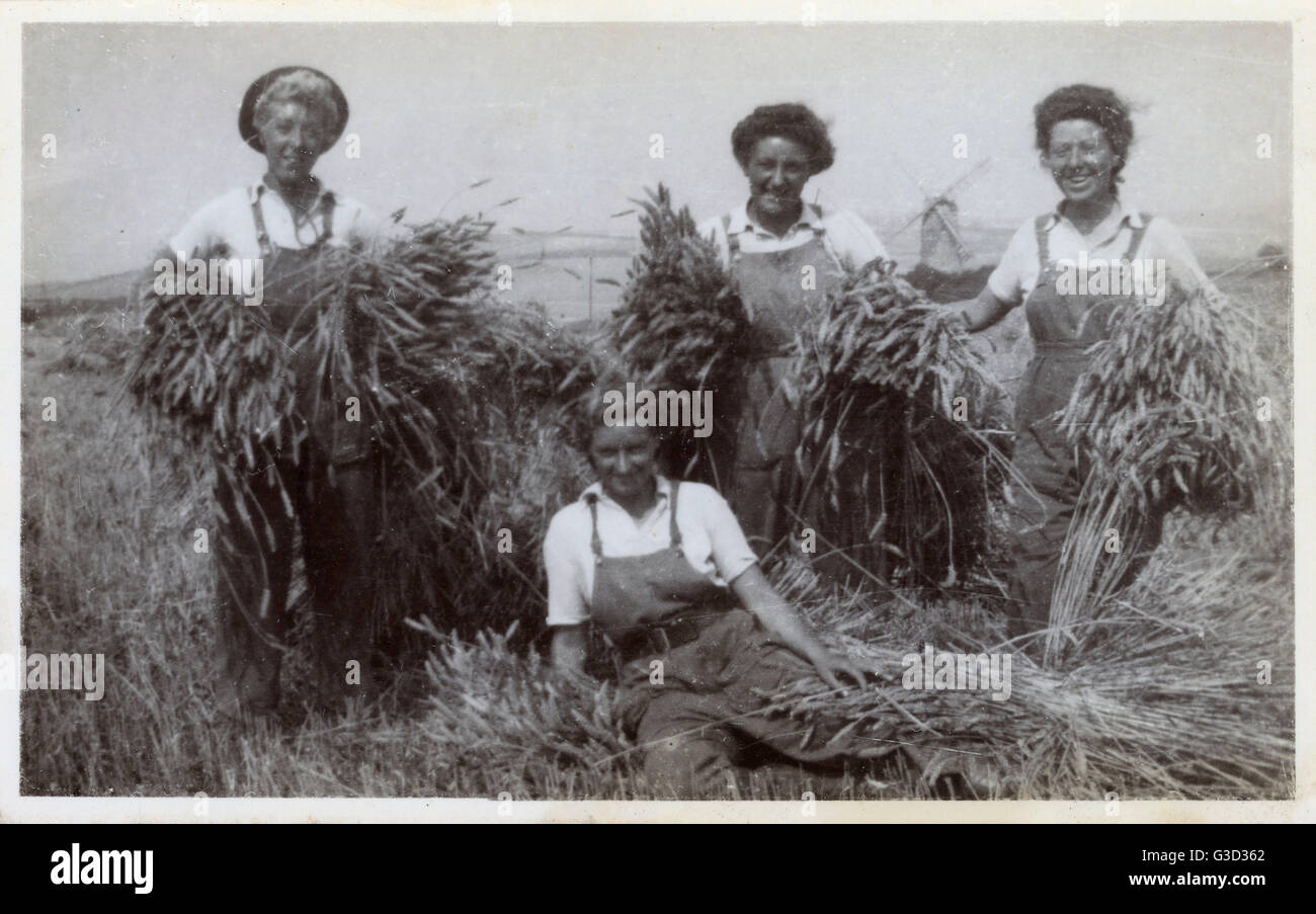 WW2 - British Land Girls bei der Arbeit Stockfoto