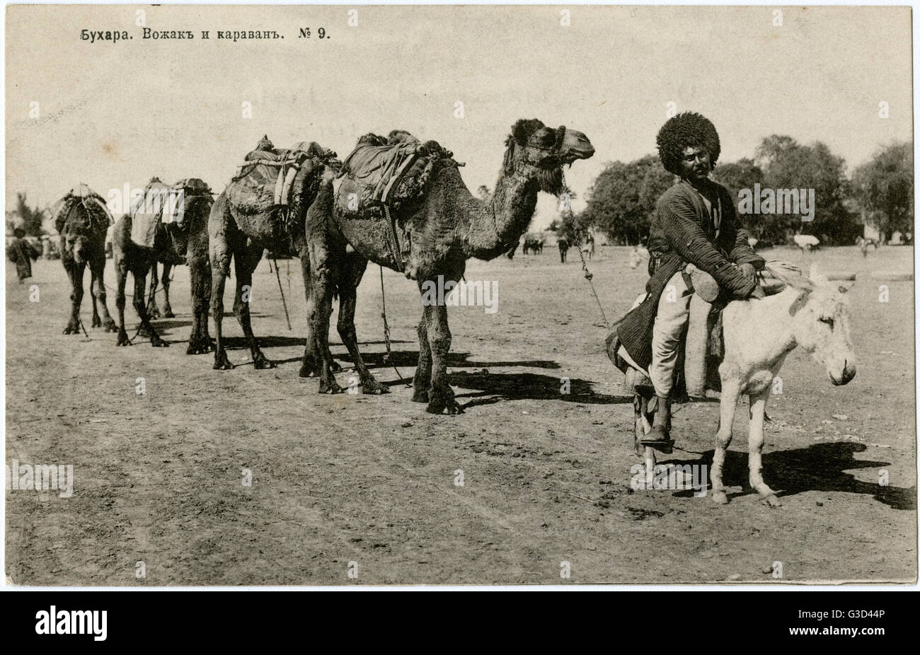 Bukhara, Usbekistan - der usbekische Mann auf einem kleinen Esel führt Kamele an Stockfoto