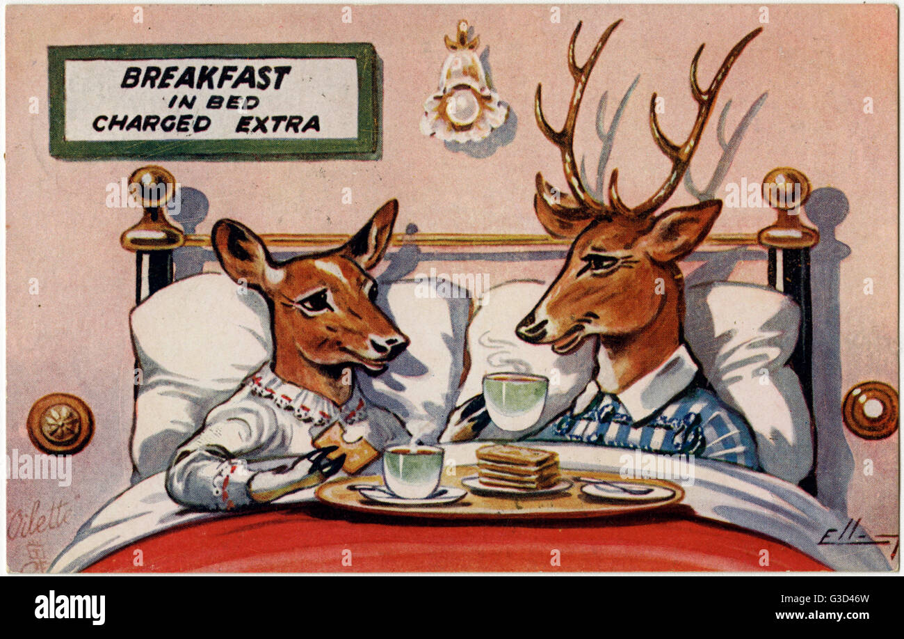 Zwei Hirsche genießen Frühstück im Bett (gegen Aufpreis) Stockfoto