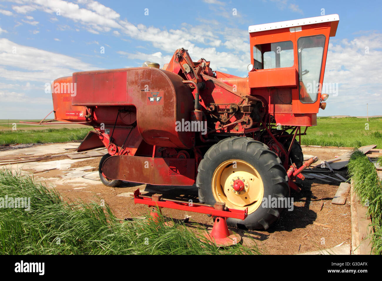 Massey Ferguson Super 92 kombinieren ohne einen Header. In Alberta, Kanada. Stockfoto