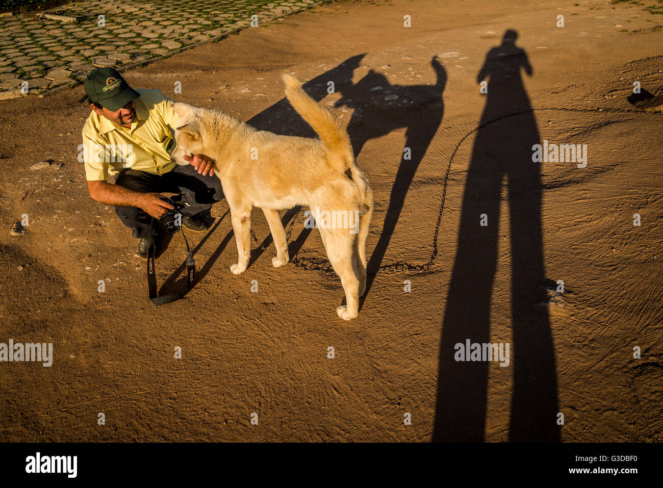 Mensch und Hund, Serra Negra, Bezerros, Pernambuco, Brasilien Stockfoto