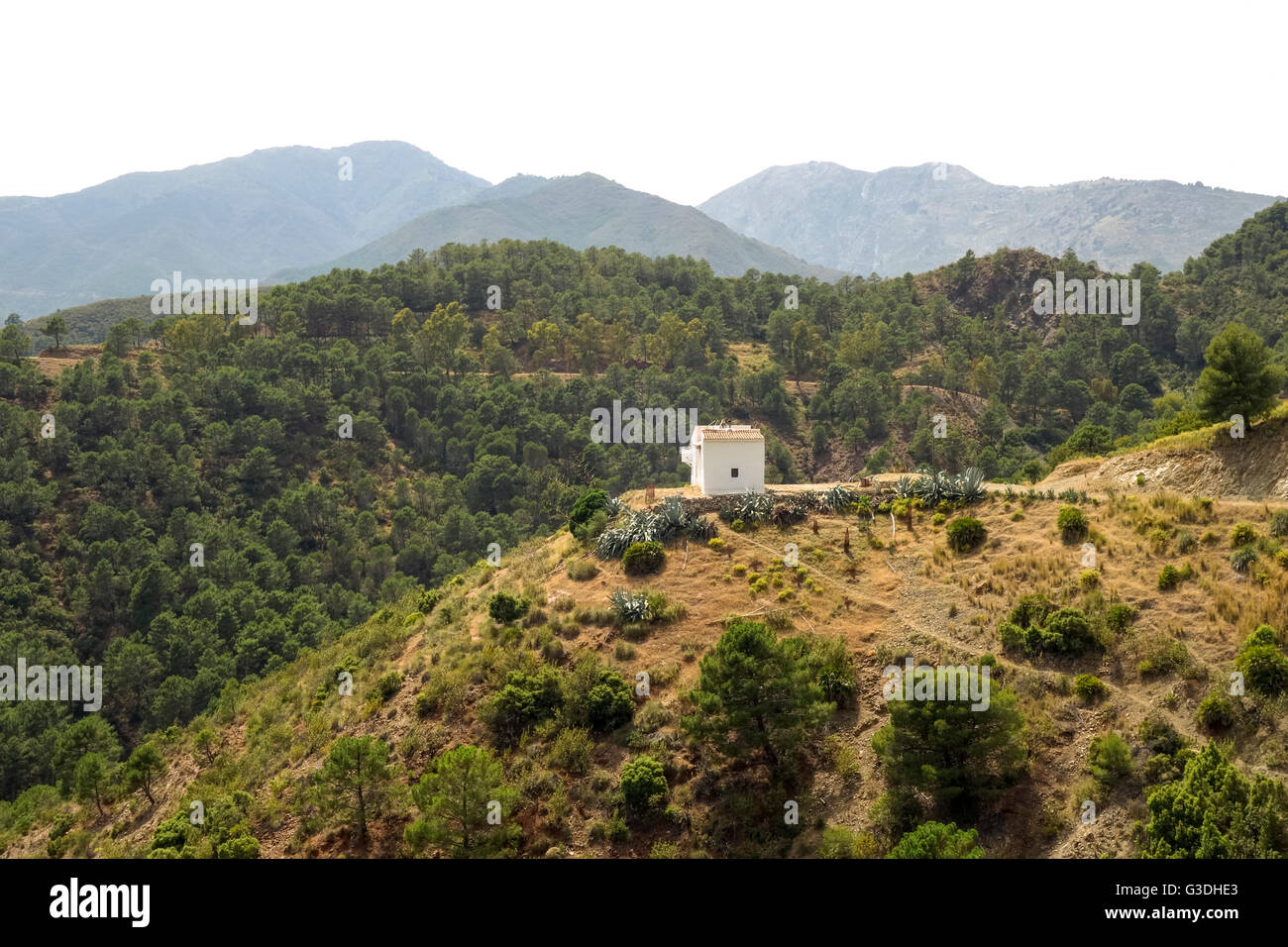 Einzelnen Berg Waldhaus in Bergen der Sierra de Las Nieves, Andalusien, Spanien. Stockfoto