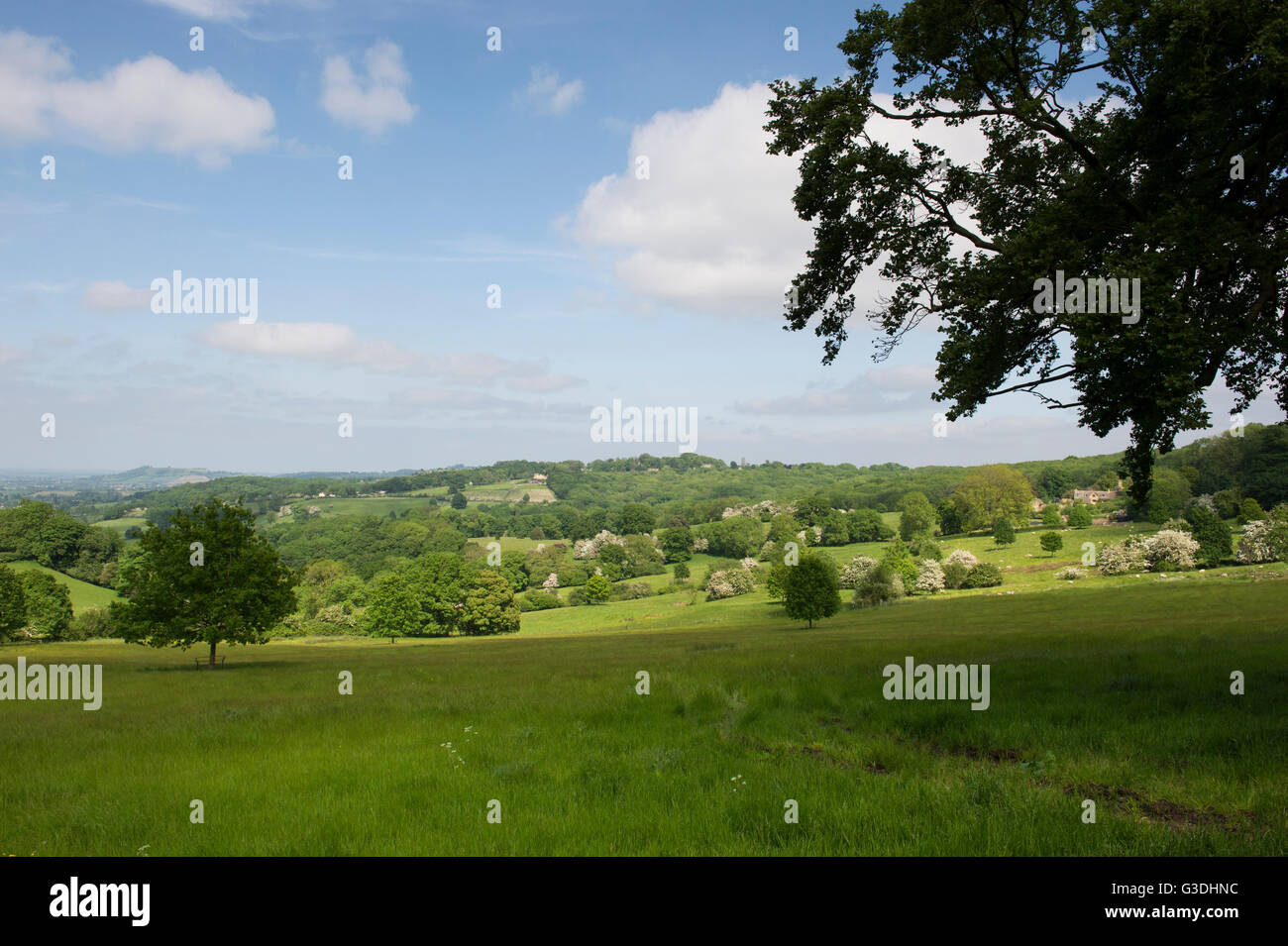 Ländliche Landschaft in den Cotswolds. Nr Saintbury, Cotswolds, Gloucestershire, England Stockfoto