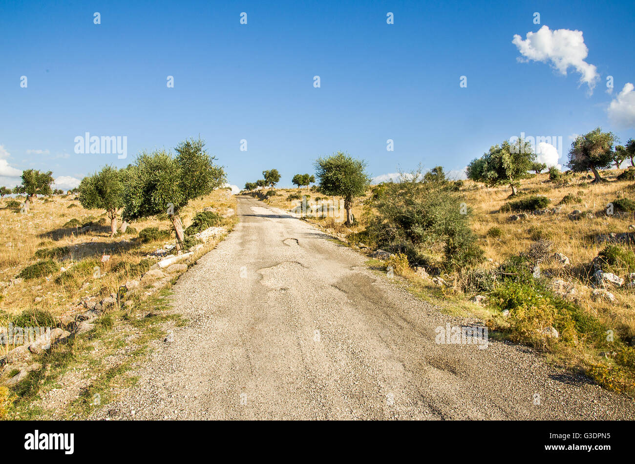 steiniger Weg in Puglia Landschaft - Gargano Stockfoto