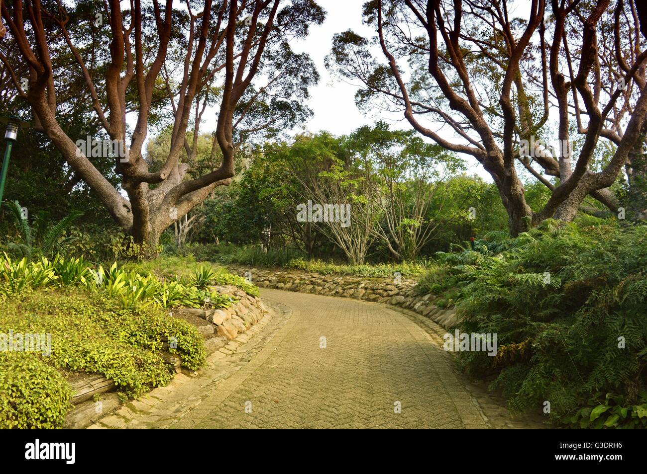Kirstenbosch National Botanical Garden, Kapstadt, Südafrika Stockfoto