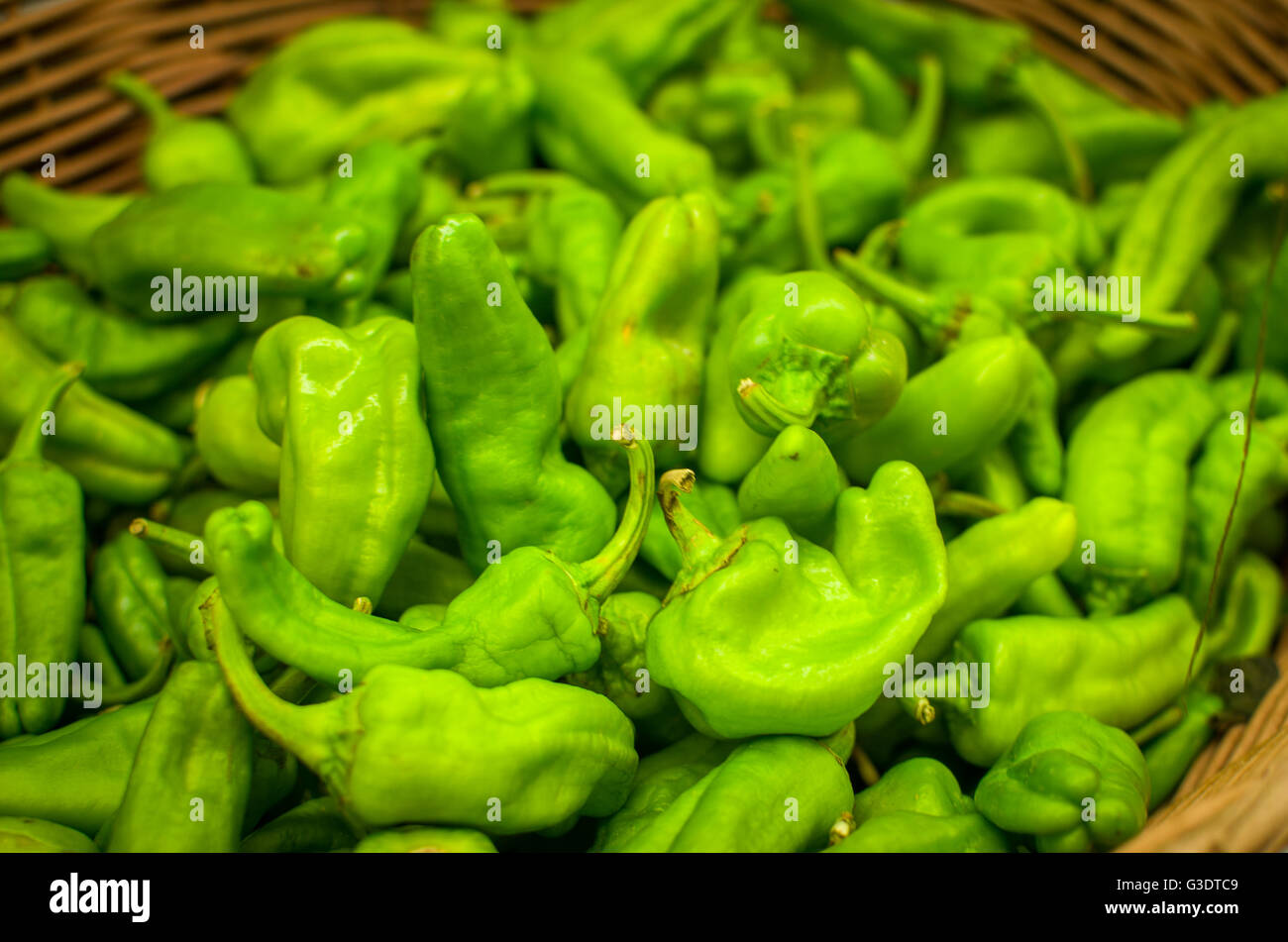 Grüne Paprika Textur Hintergrund Stockfoto
