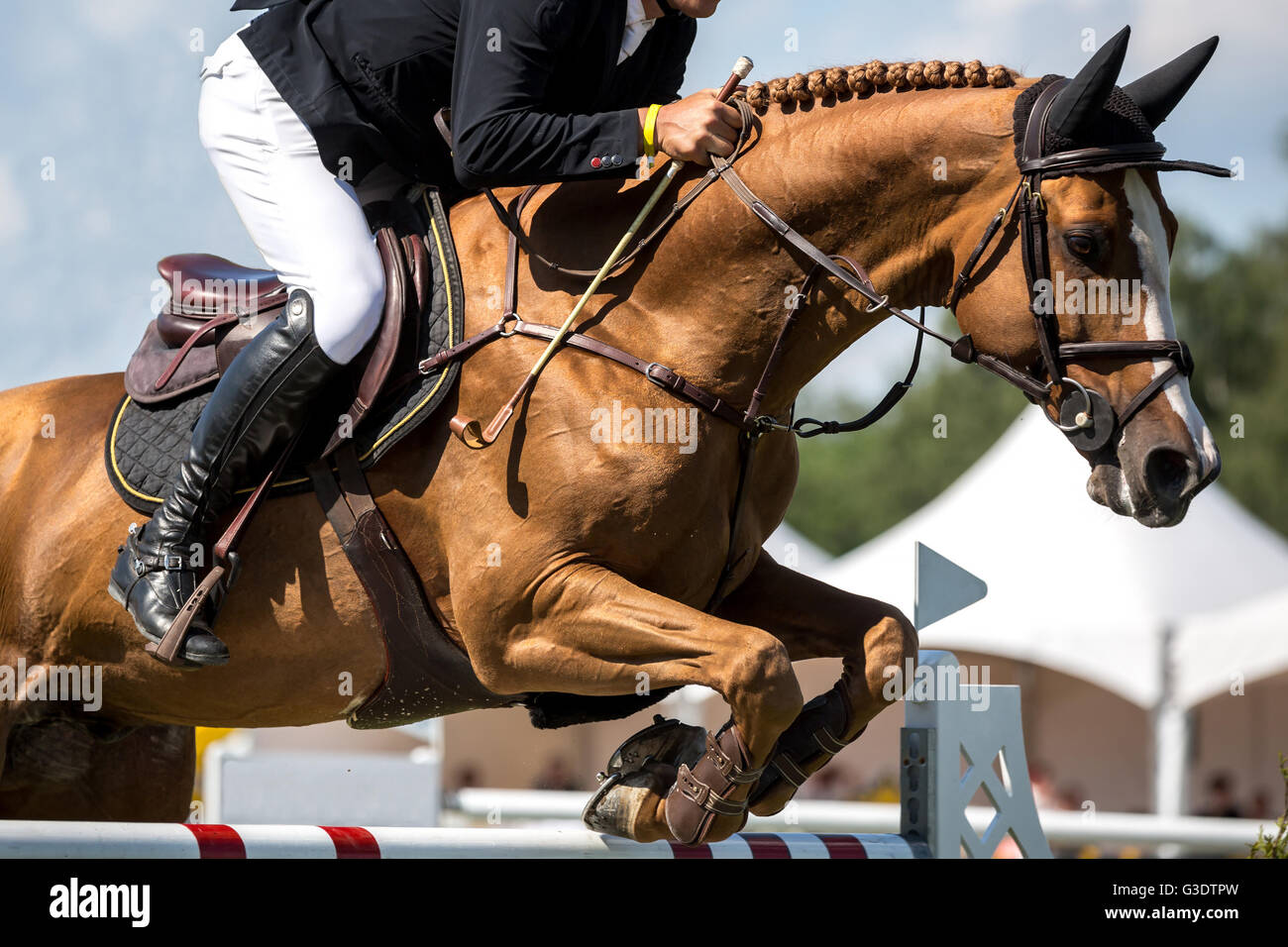 Pferdesport, Pferd, springen, Springreiten, Reiten unter dem Motto Foto Stockfoto