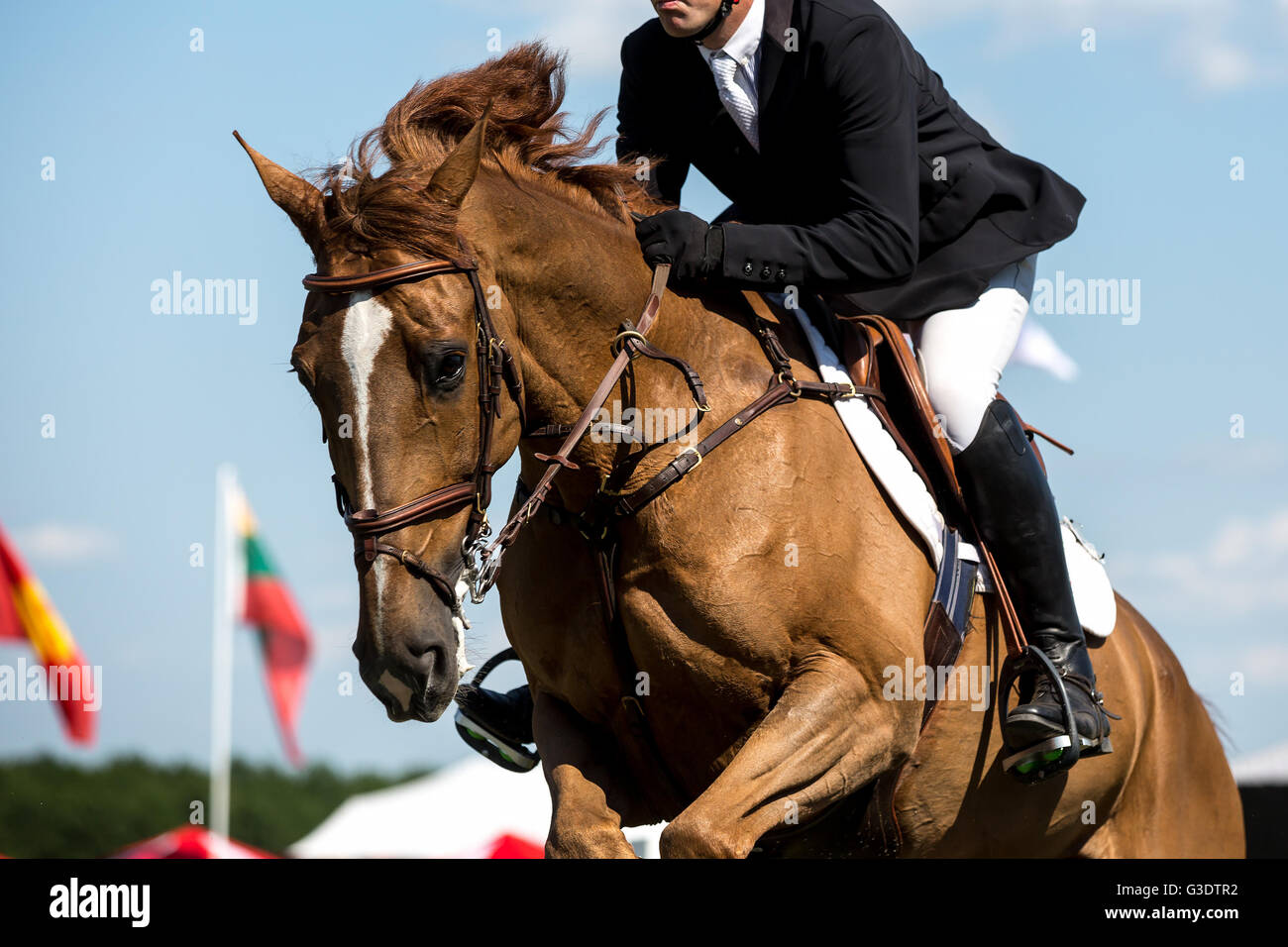 Pferdesport, Pferd, springen, Springreiten, Reiten unter dem Motto Foto Stockfoto