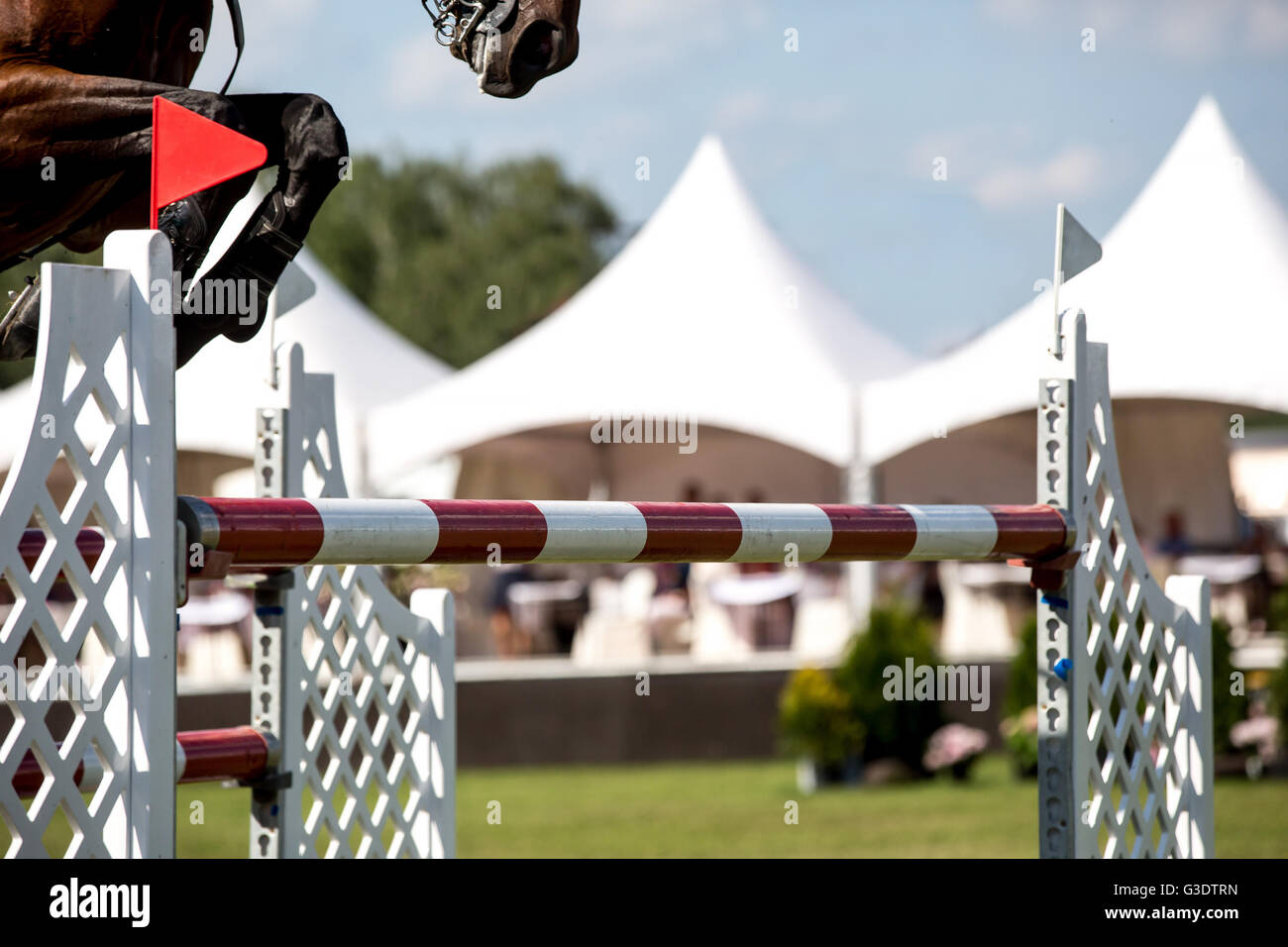 Pferdesport, Pferd, springen, Springreiten, Reiten unter dem Motto Foto Stockfoto