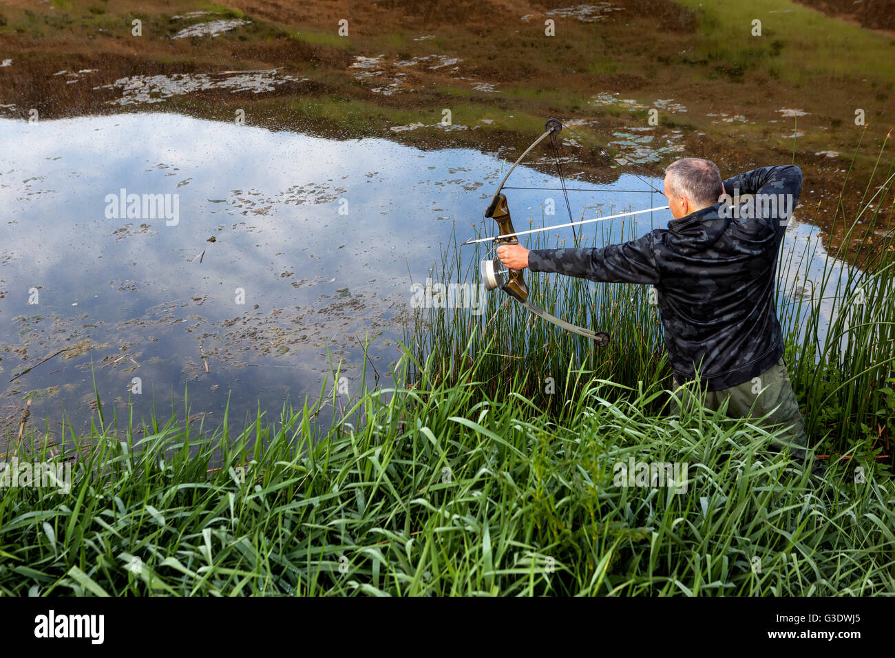 WA11808-00... WASHINGTON - Bow Hunter Phil Russell auf der Jagd nach Bull Frösche in einem kleinen Teich.  (HERR # R8) Stockfoto