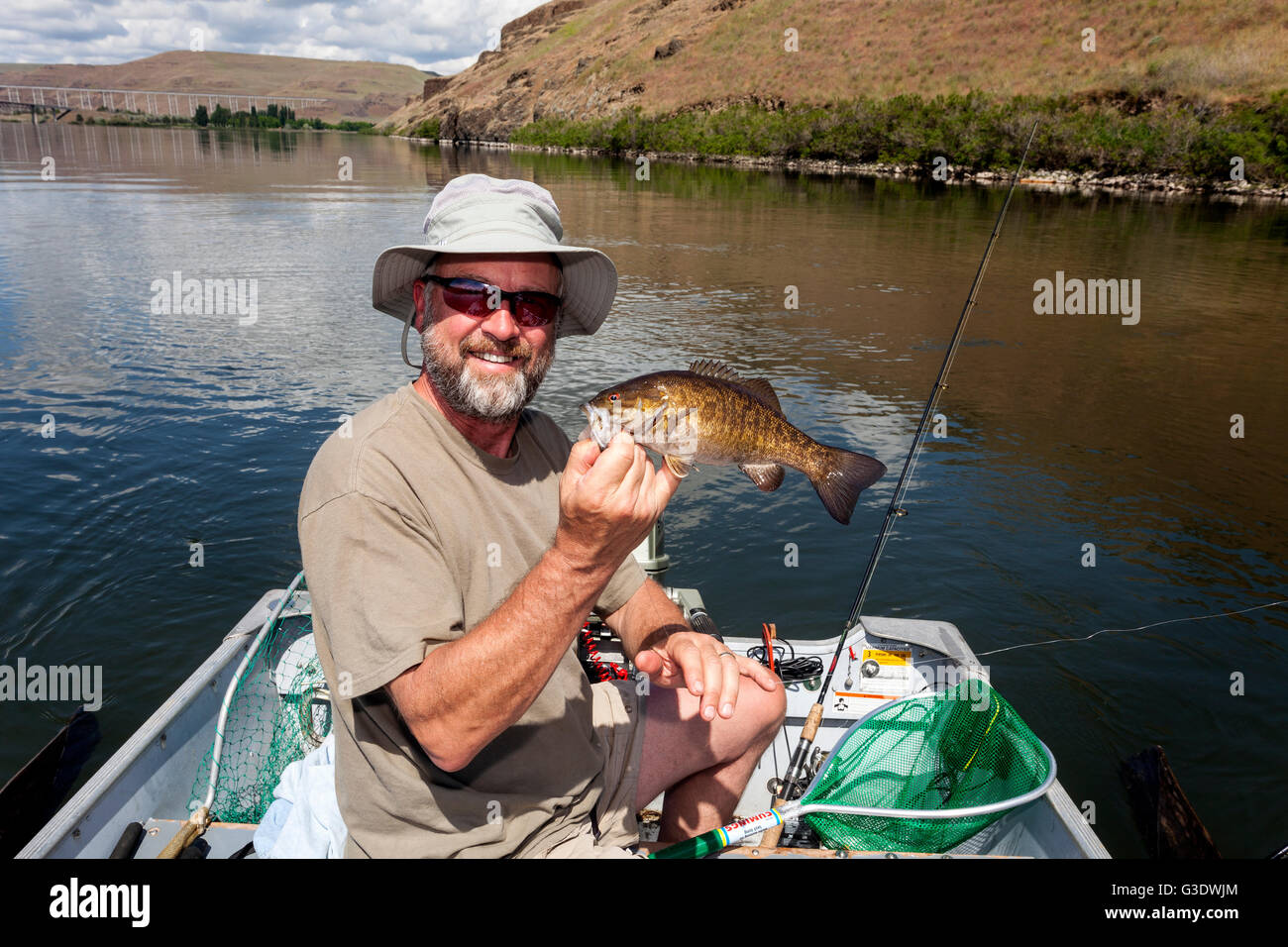 WA11813-00... WASHINGTON - Jim Johansen holt eine kleine Mund Bass (Micropterus Dolomieu) er in der Snake River gefangen Stockfoto