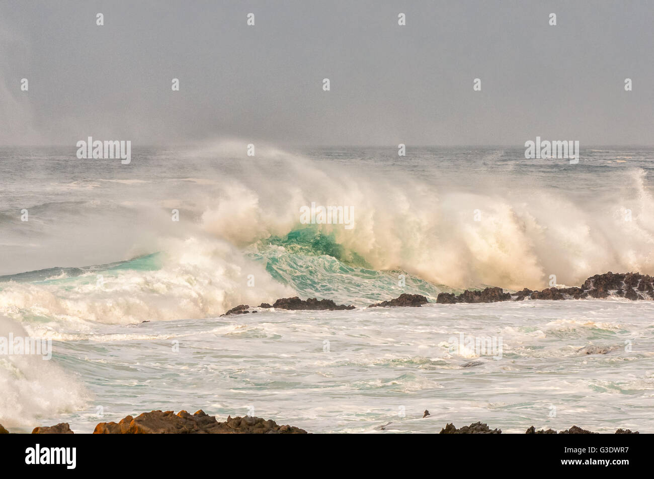 Riesige Wellen, die bei Sonnenaufgang entlang der Eastern Cape Südafrika zurück durch ein Sturmwind getrieben Stockfoto
