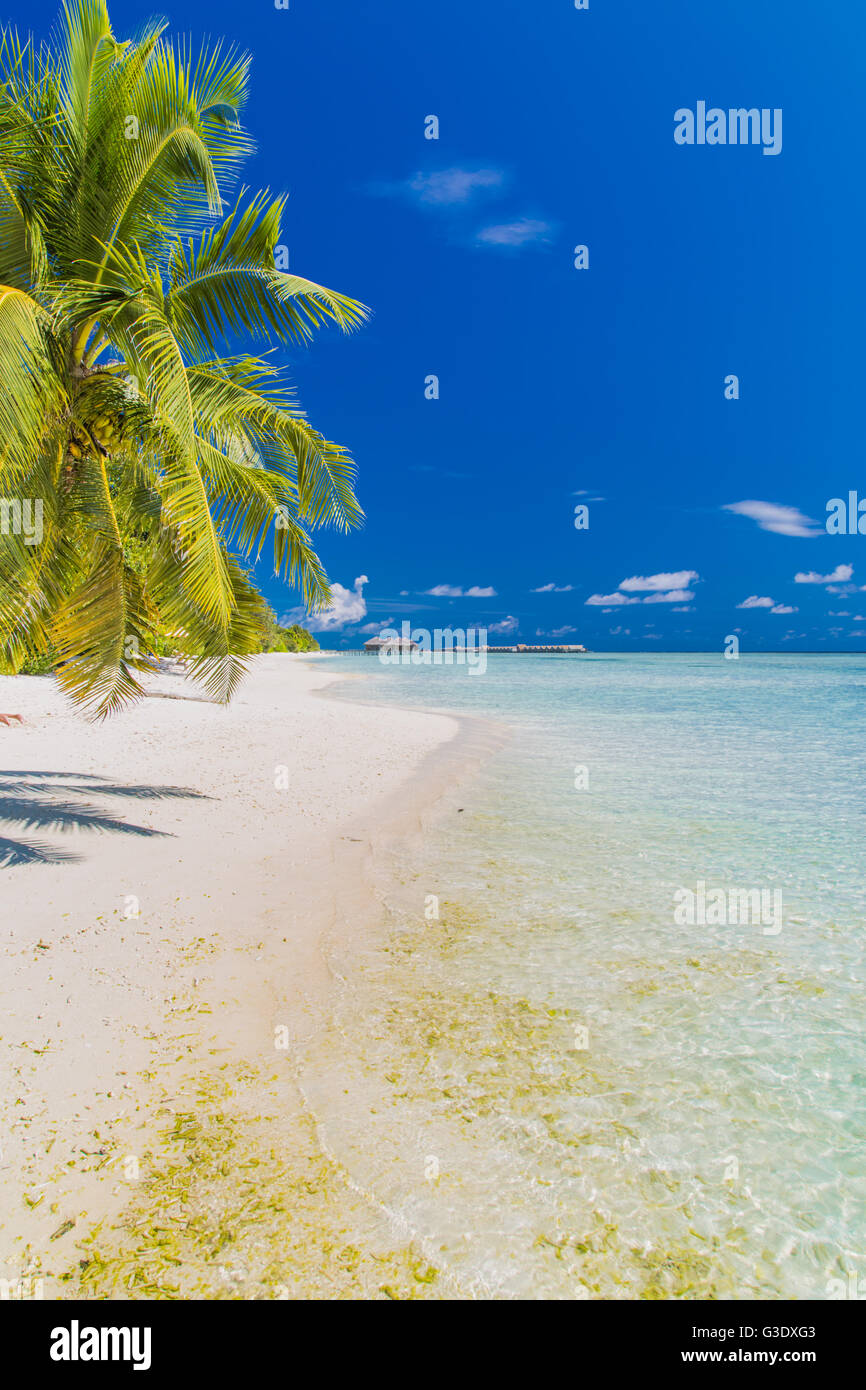 Schöner Strand auf den Malediven. Sommer Urlaub Reisekonzept. Stockfoto