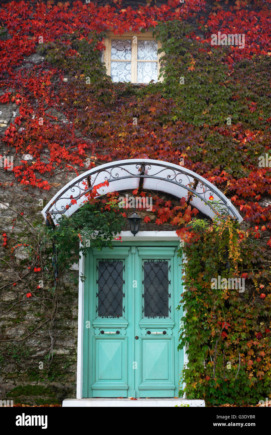 Efeu bedeckt Hausfront im Herbst auf Pilion Halbinsel, Thessalien, Griechenland Stockfoto