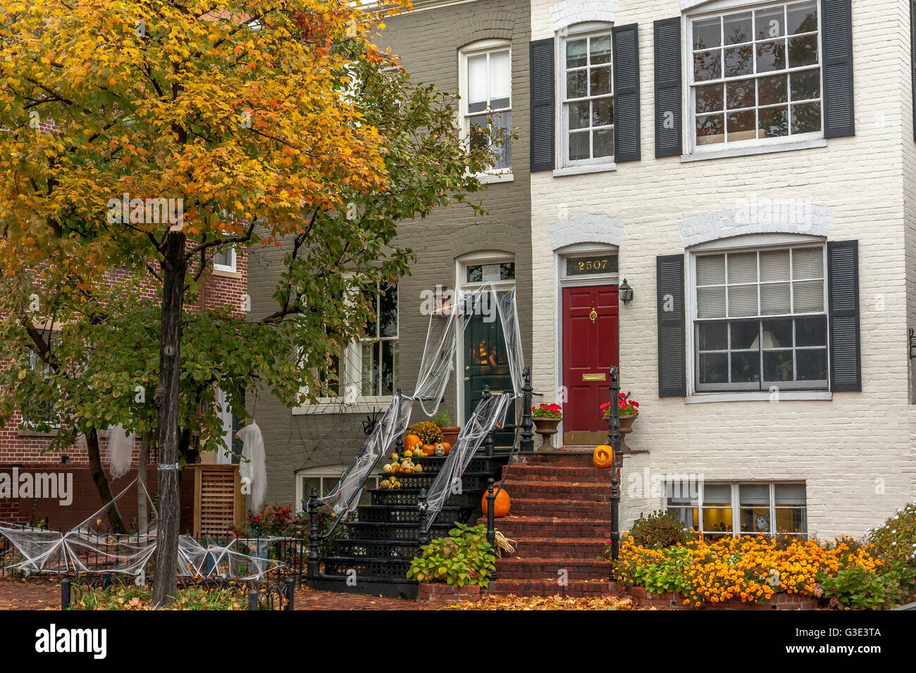 Backsteinhäuser in Georgetown, Washington DC, dekoriert mit Kürbissen und Spinnweben für Halloween Feiern, Washington DC, USA Stockfoto