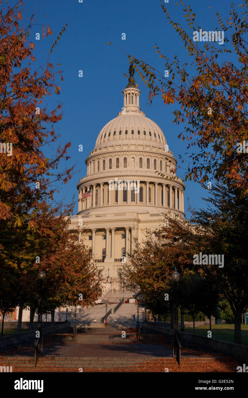 Das Kapitolgebäude der Vereinigten Staaten, der Treffpunkt des Senats und des Repräsentantenhauses, befindet sich auf dem Capitol Hill in Washington DC Stockfoto