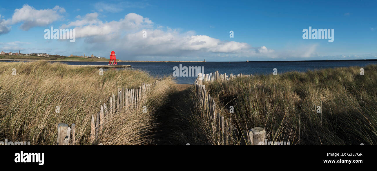 Pfad, gesäumt mit Holzpfosten und hohe Gräser an der Küste, Herde Buhne Leuchtturm in der Ferne; South Shields, Tyne and Wear, England Stockfoto