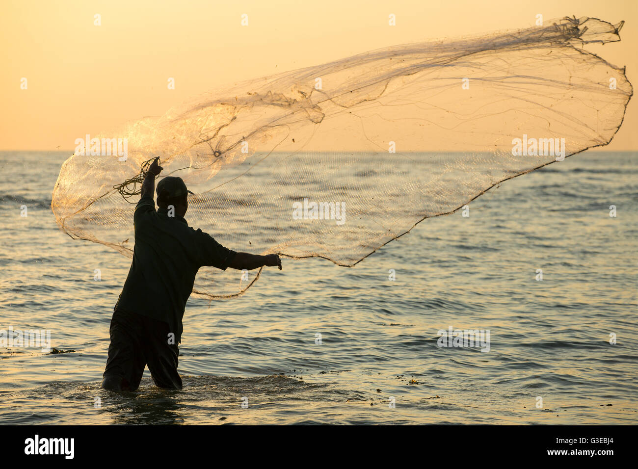 Silhouette des unbekannten indischen Fischers werfen Net im Meer bei Sonnenuntergang in Fort Kochi, Indien. Stockfoto