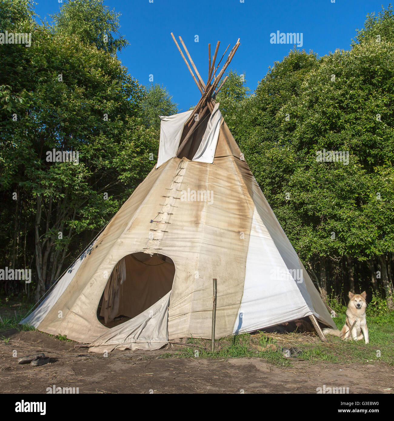 Eine einzelne, Solitäre Tipi in einem Wald. Tipis wurden traditionelle Gehäuse für Native Americans in Great Plains und anderen westlichen st Stockfoto