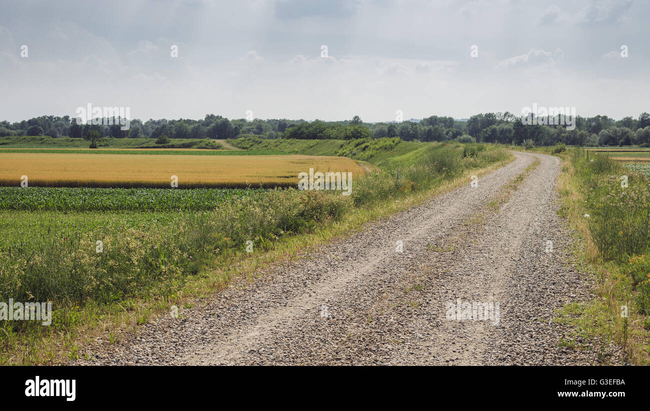 Kiesweg in italienischen Landschaft Stockfoto