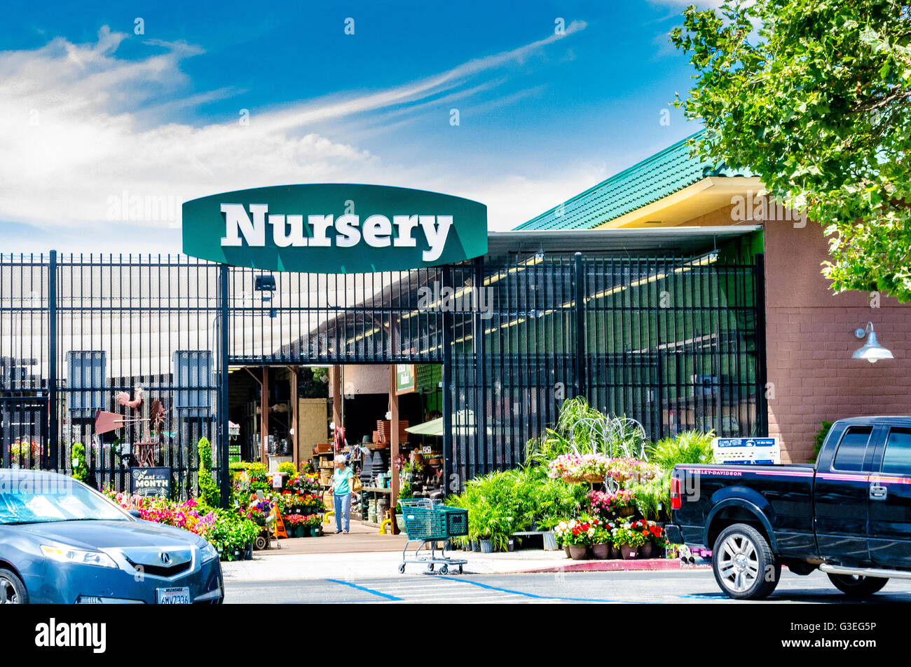 Der Kindergarten-Abteilung ein Obstgarten liefern Hardware-Geschäft in San Leandro, Kalifornien Stockfoto