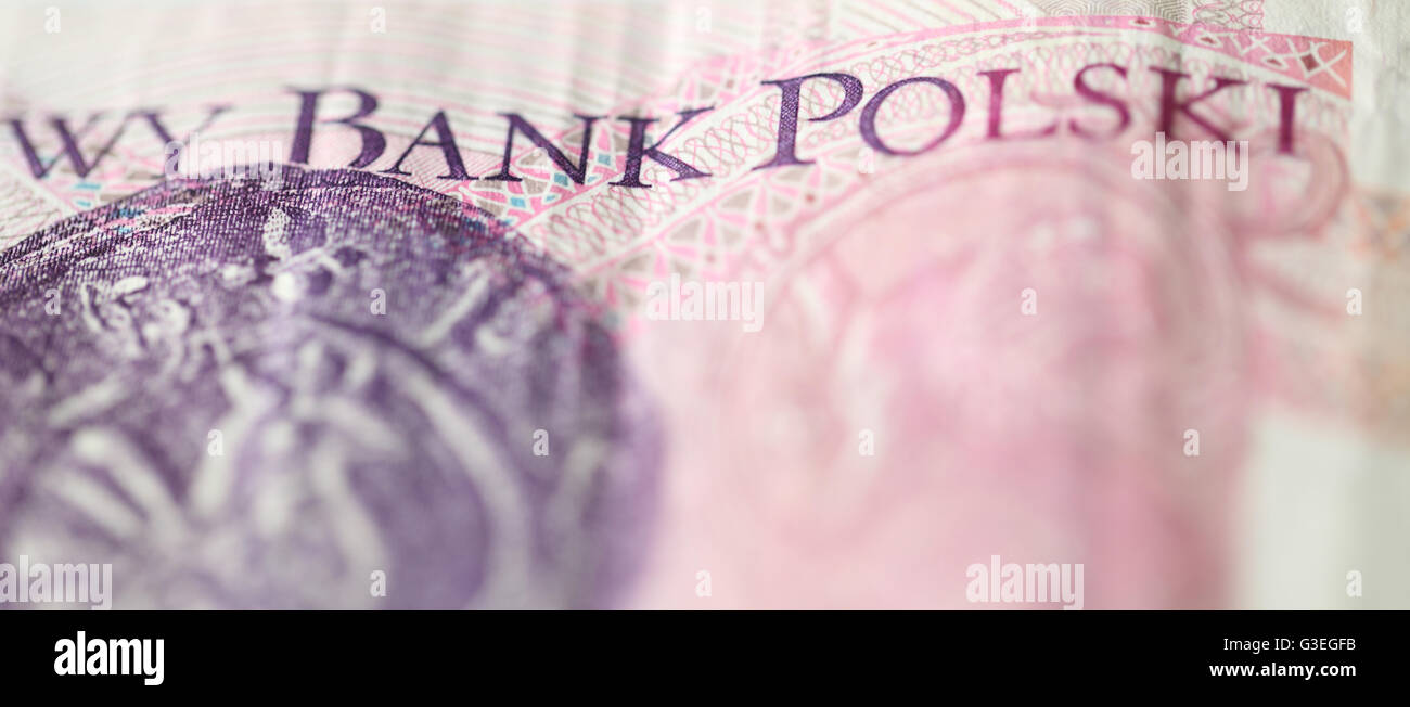 Polen-Geld isoliert auf weißem Hintergrund Stockfoto