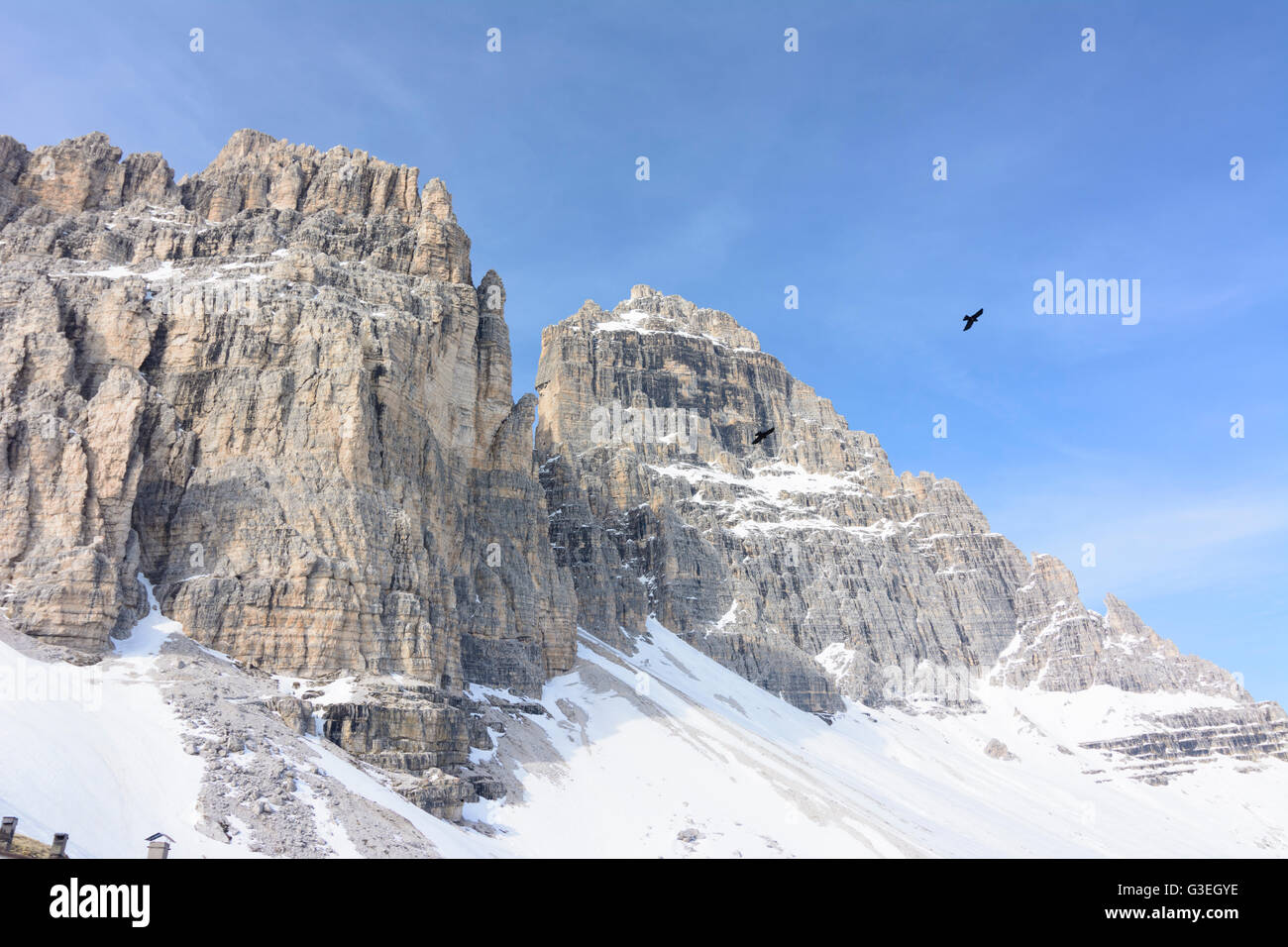 Drei Zinnen, Tre Cime, Italien, Belluno, Naturpark Drei Zinnen, Tre Cime di Lavaredo, Dolomiten, Sextner Dolomiten (Sextener Dolom Stockfoto