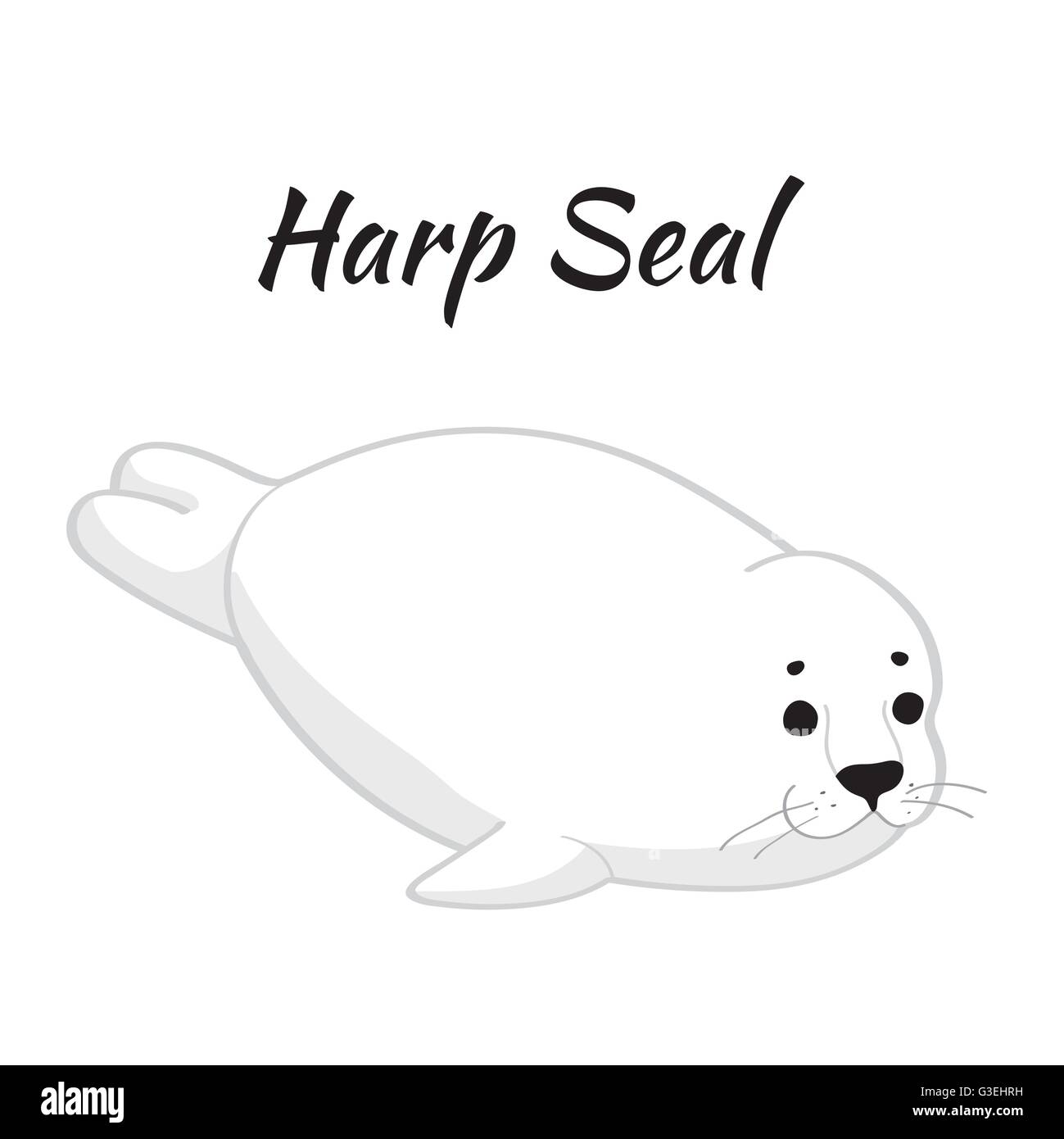 Niedliche Baby seal isolierten auf weißen Hintergrund. Stock Vektor