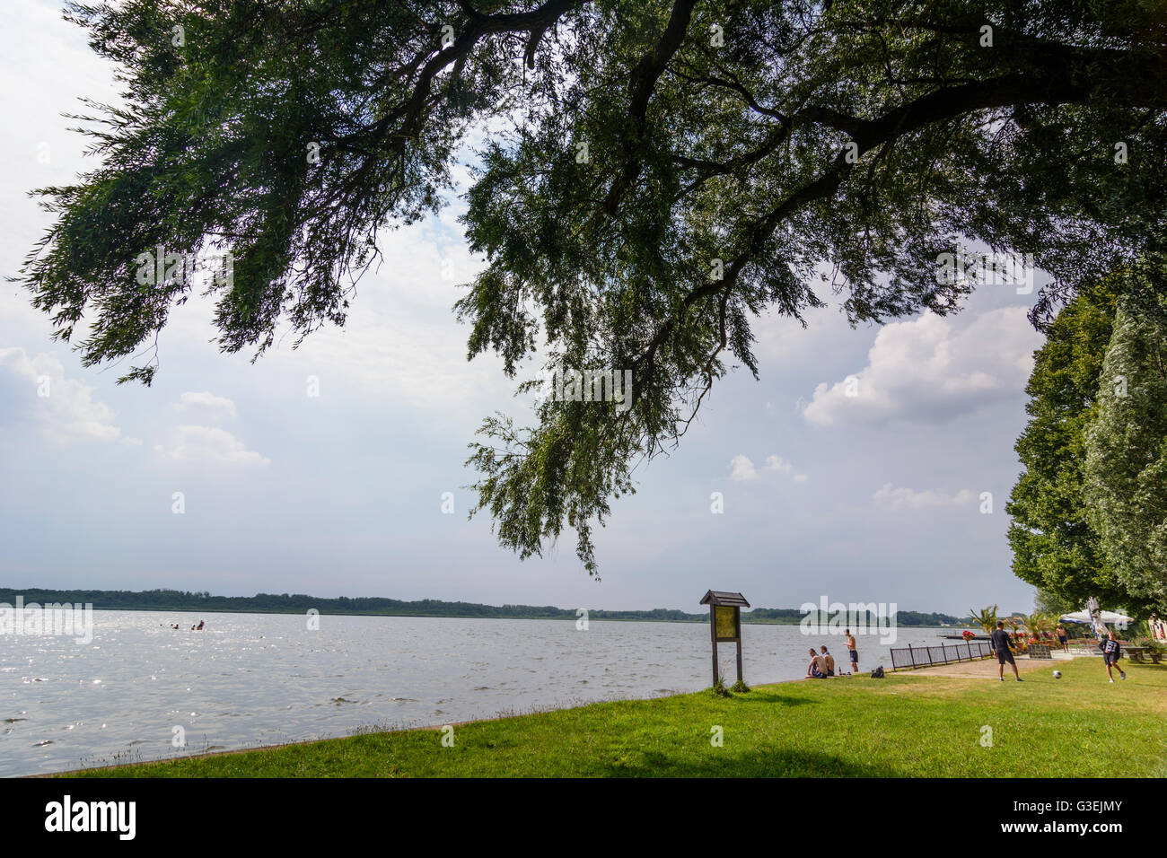 Großer Teich, Deutschland, Sachsen, Sachsen, Stockfotografie Alamy