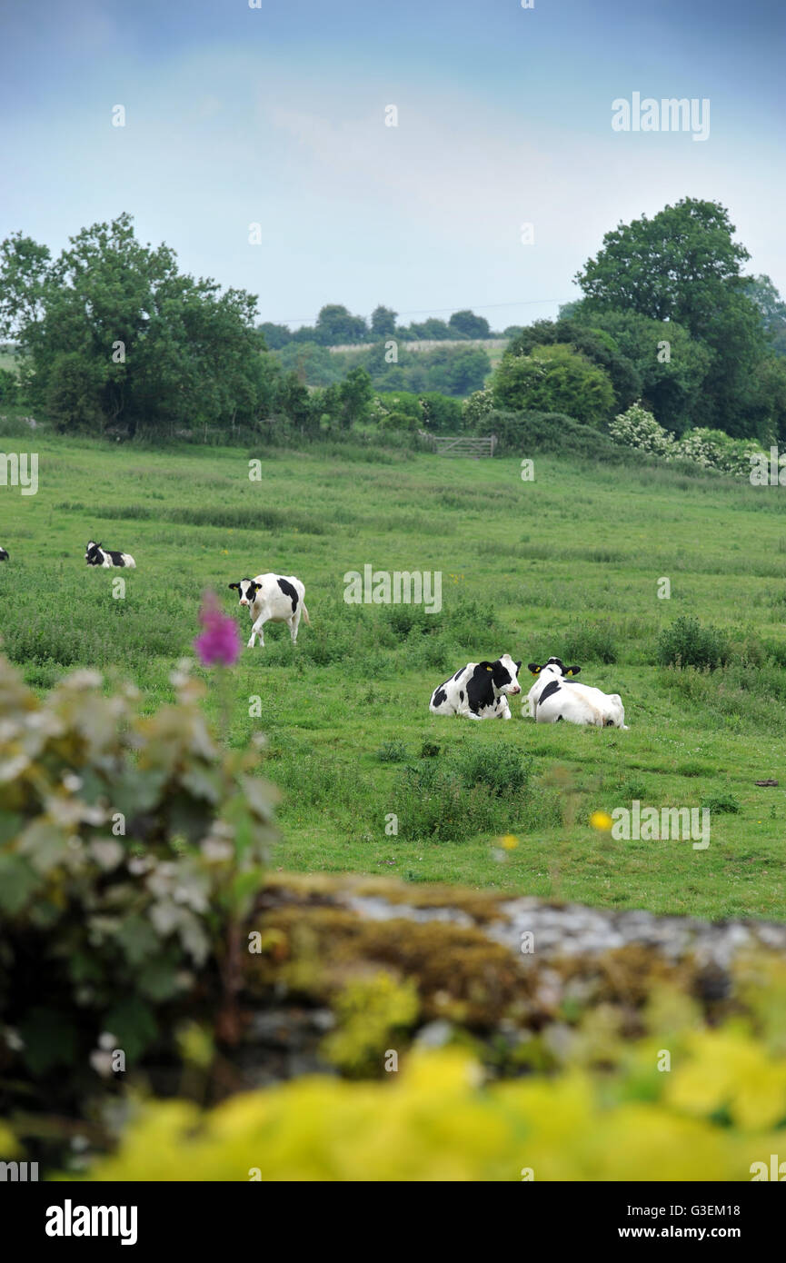 Der Blick aus einem Bauerngarten in den Cotswolds in Oxfordshire, Vereinigtes Königreich Stockfoto