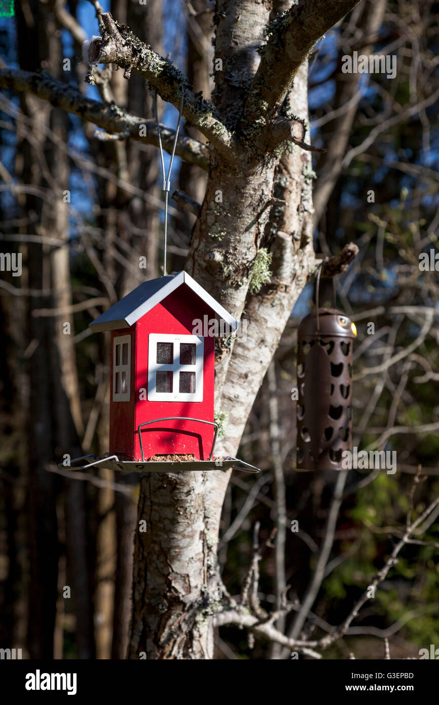 Kleinen schwedischen Stil Vogelhaus hängend in einem Baum Stockfoto