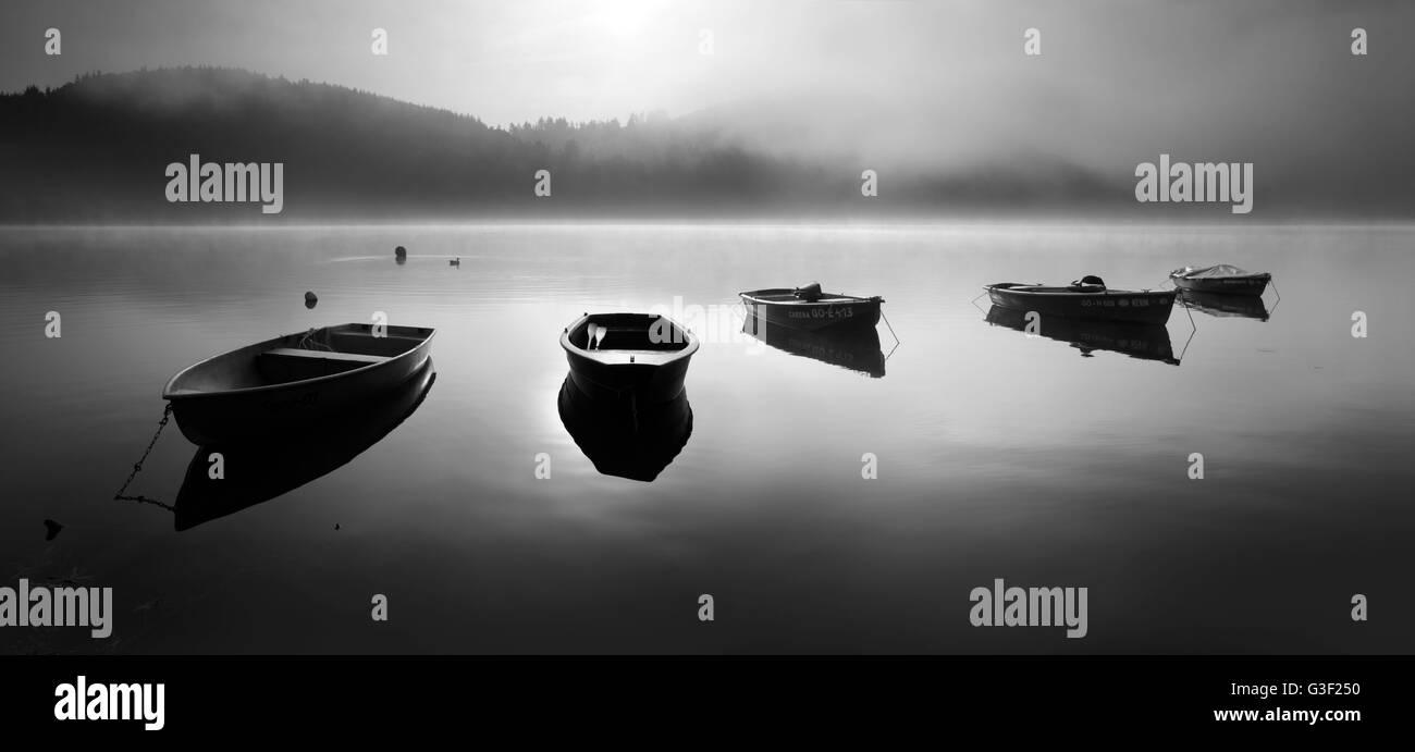 Ruderboote im Morgennebel bei Sonnenaufgang, Edersee Reservoir, Hessen, Deutschland Stockfoto