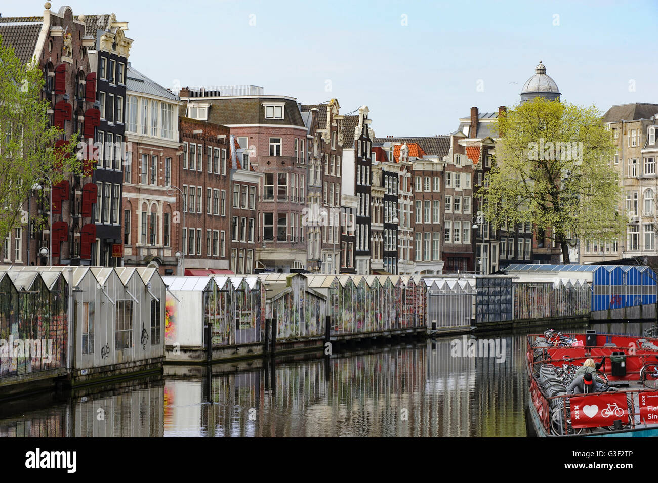 Singel Bloemenmarkt, Amsterdam, Holland, Niederlande Stockfoto