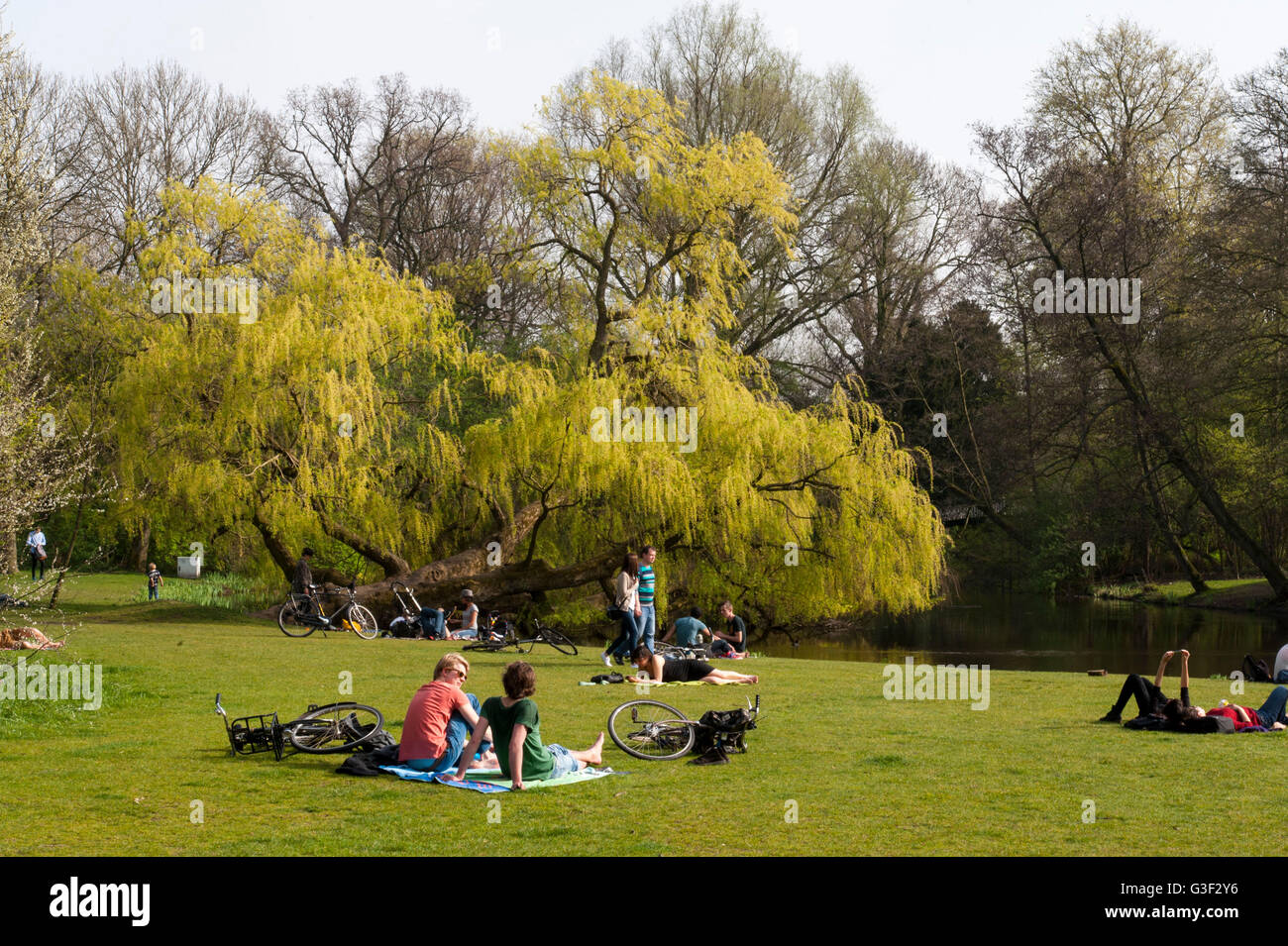 Vondelpark, Menschen auf der Wiese im Park, Amsterdam, Holland, Niederlande Stockfoto