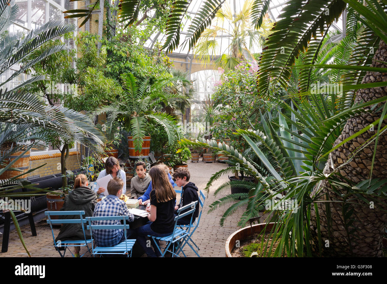 Botanische Garten Hortus Botanicus, Amsterdam, Holland, Niederlande Stockfoto