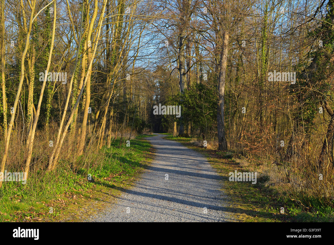 Kies Weg durch den Park im zeitigen Frühjahr, Kleinheubach, Churfranken, Spessart, Bayern, Deutschland Stockfoto