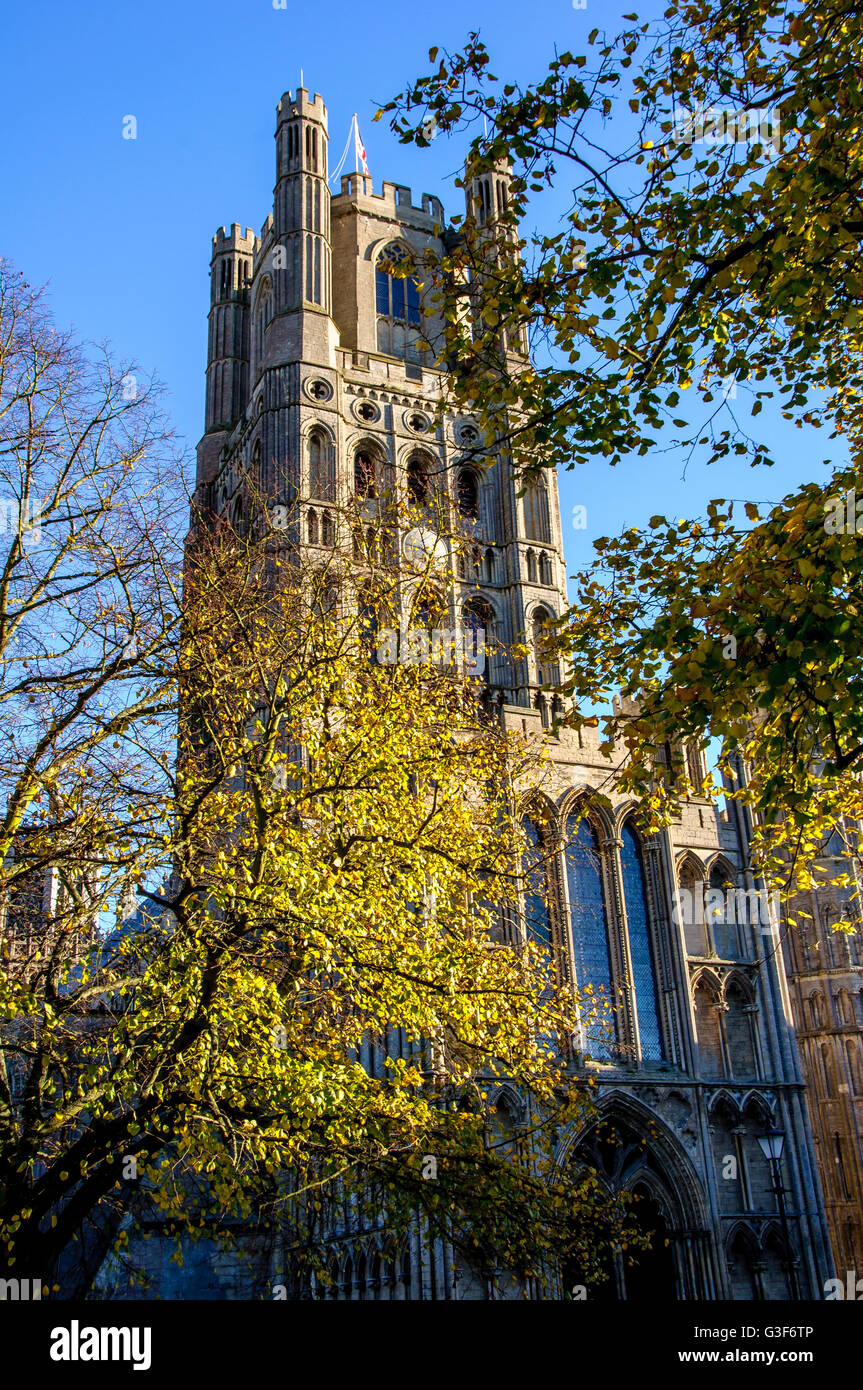 Ely Kathedrale, Cambridgeshire, England, Vereinigtes Königreich Stockfoto