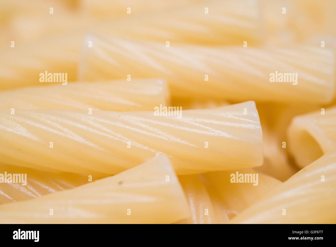 frischer italienische Pasta mit Käsesauce hautnah Stockfoto