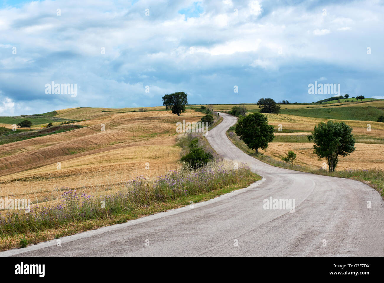 Empty asphalt road winding into the distance through hills through agricultural farmland on a cloudy day Stockfoto