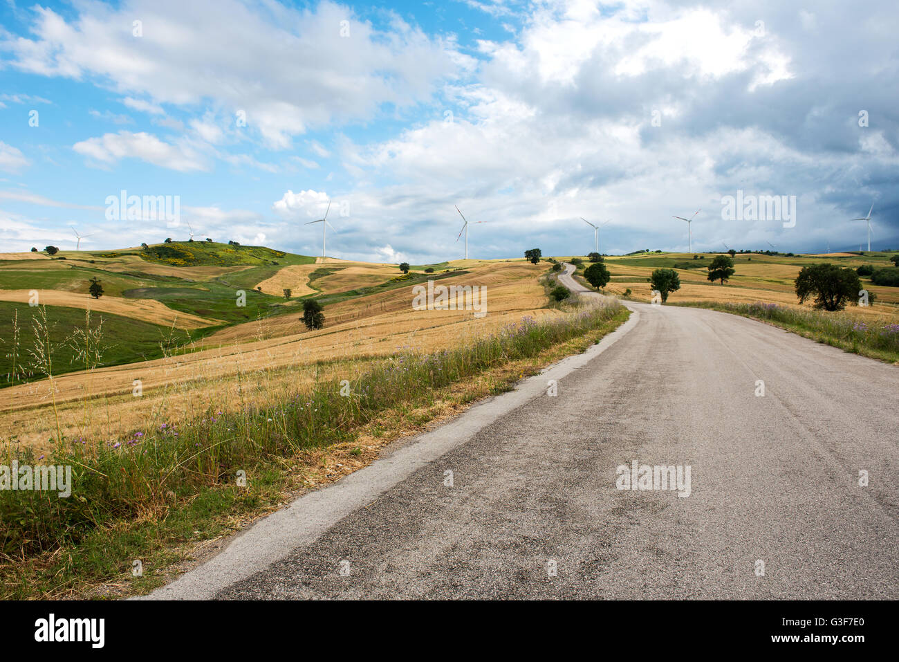 Blick auf einen einsamen Teerstraße durch Ackerland und gewundenen Weg zu niedrigen Hügeln an einem bewölkten Sommertag-Landschaft Stockfoto