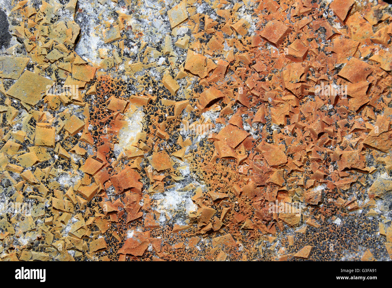 Felsen-Kristalle auf Stück Schiefer aus stillgelegten führen Mine, Snowdonia-Nationalpark Stockfoto
