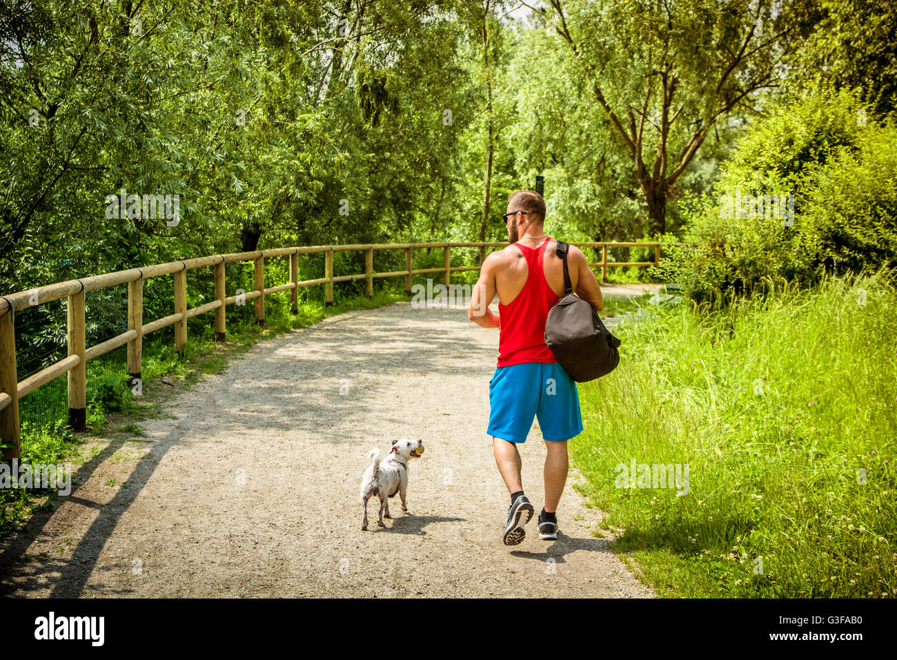 Porträt von muskulöser Mann mit Tasche zu Fuß entfernt mit Hund im Sommerpark zurück Stockfoto