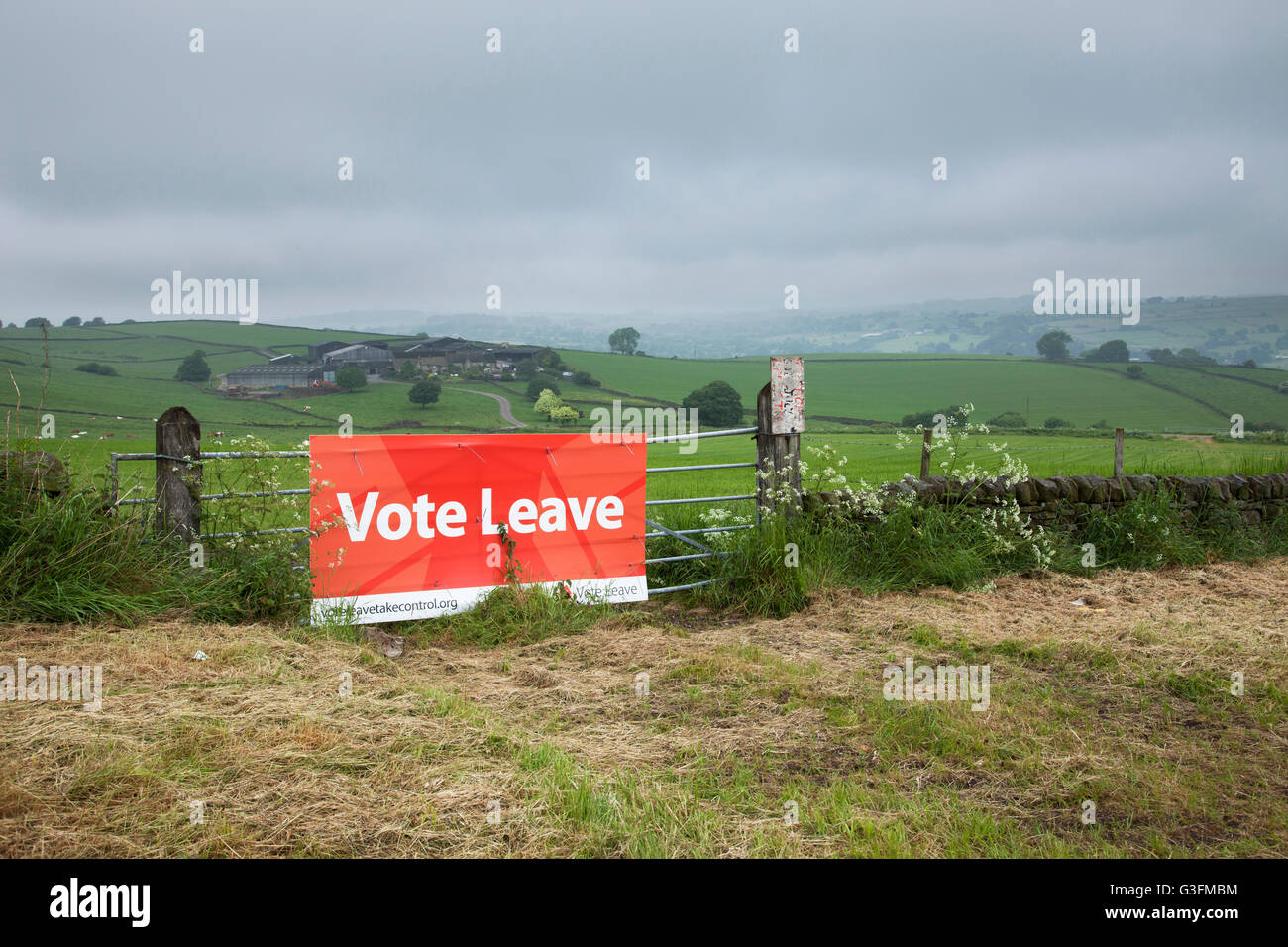 A632 zwischen Matlock und Chesterfield, Derbyshire, Großbritannien 11. Juni 2016. Eine Abstimmung verlassen Kampagne Zeichen in Derbyshire Landschaft vor Großbritanniens Volksabstimmung über Donnerstag, 23. Juni 2016.  Bildnachweis: Mark Richardson/Alamy Live-Nachrichten Stockfoto
