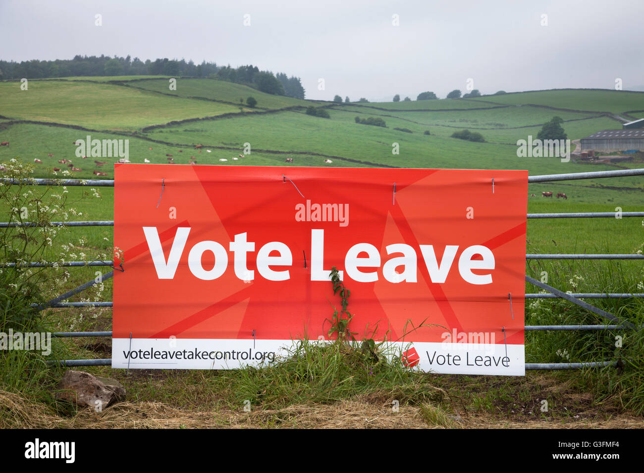 A632 zwischen Matlock und Chesterfield, Derbyshire, Großbritannien 11. Juni 2016. Eine Abstimmung verlassen Kampagne Zeichen in Derbyshire Landschaft vor Großbritanniens Volksabstimmung über Donnerstag, 23. Juni 2016. Bildnachweis: Mark Richardson/Alamy Live-Nachrichten Stockfoto