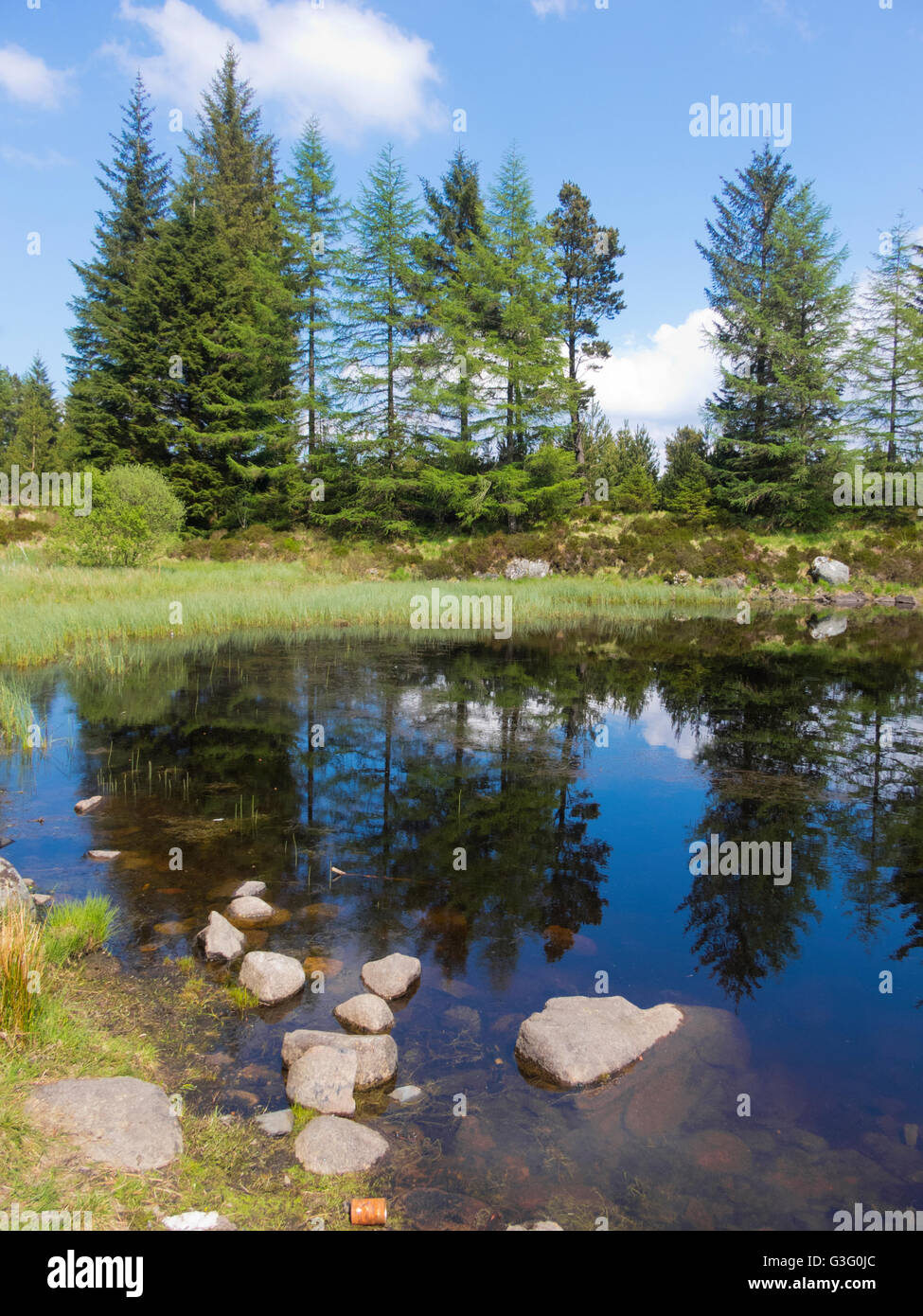 Loch Gower, Carrick Wald, Galloway Forest National Park, East Ayrshire, Schottland Stockfoto