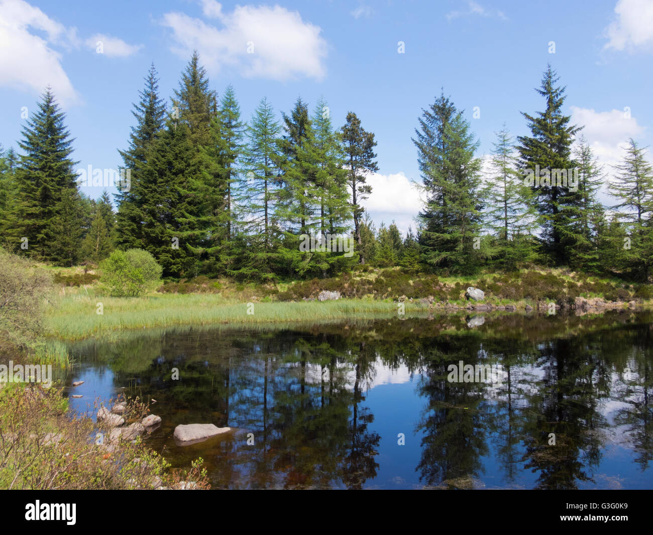 Loch Gower, Carrick Wald, Galloway Forest National Park, East Ayrshire, Schottland Stockfoto