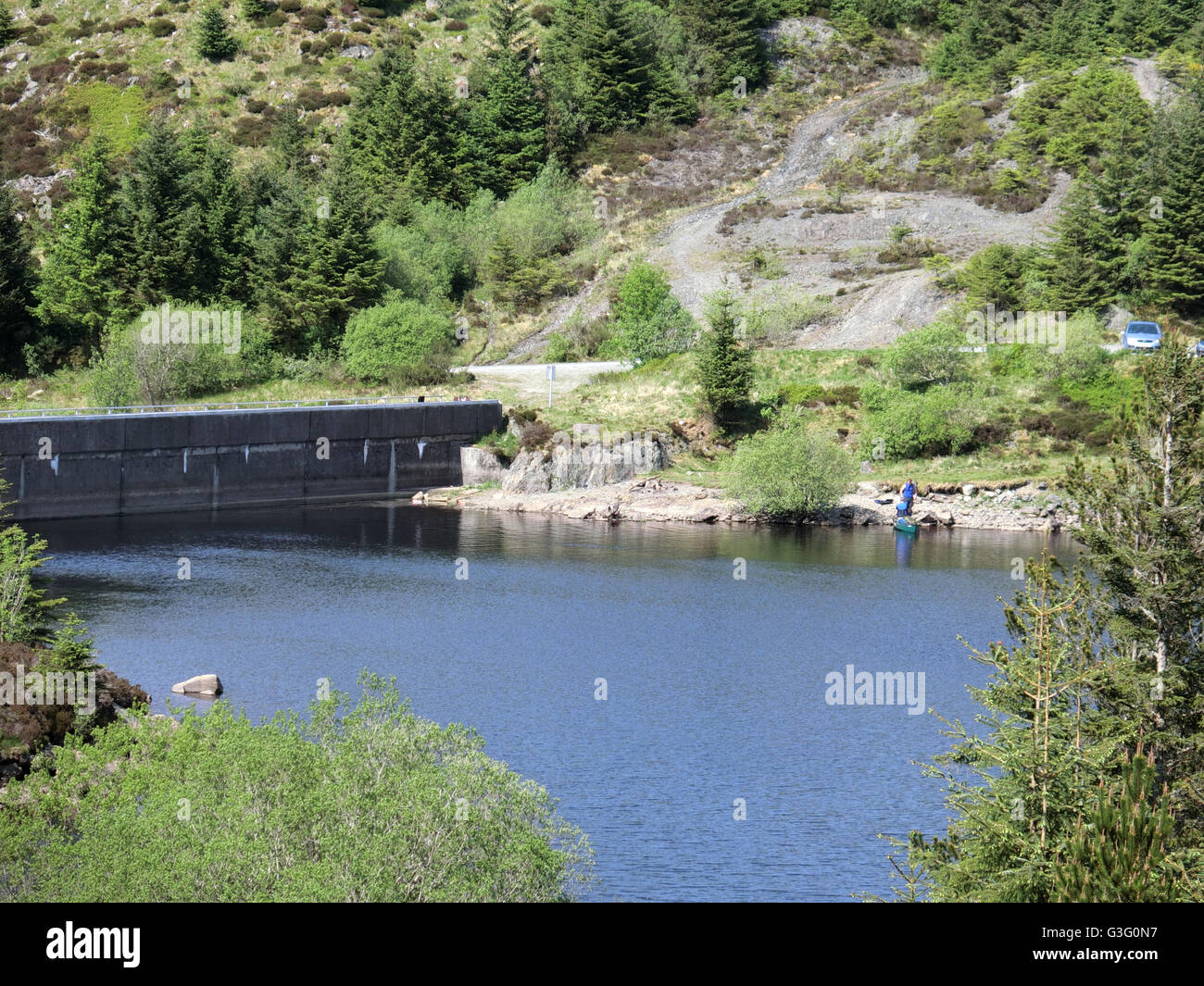 Loch Bradan, Carrick Wald, Galloway Forest National Park, South Ayrshire, Schottland Stockfoto