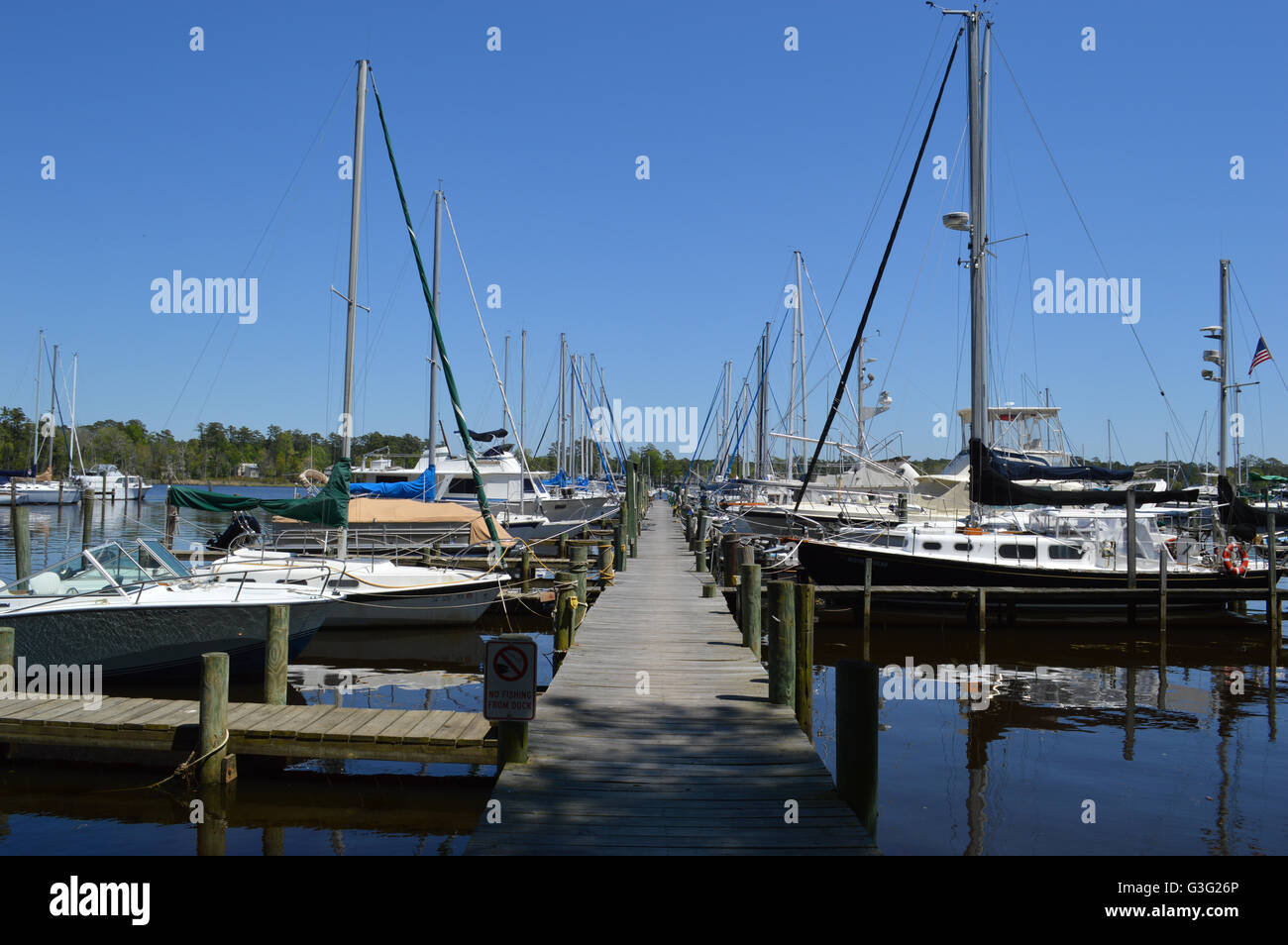 Eine Marina auf den Pamlico Sound in Washington, North Carolina. Stockfoto