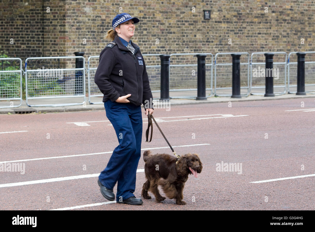 Polizist mit einem Erkennung Hund Stockfoto