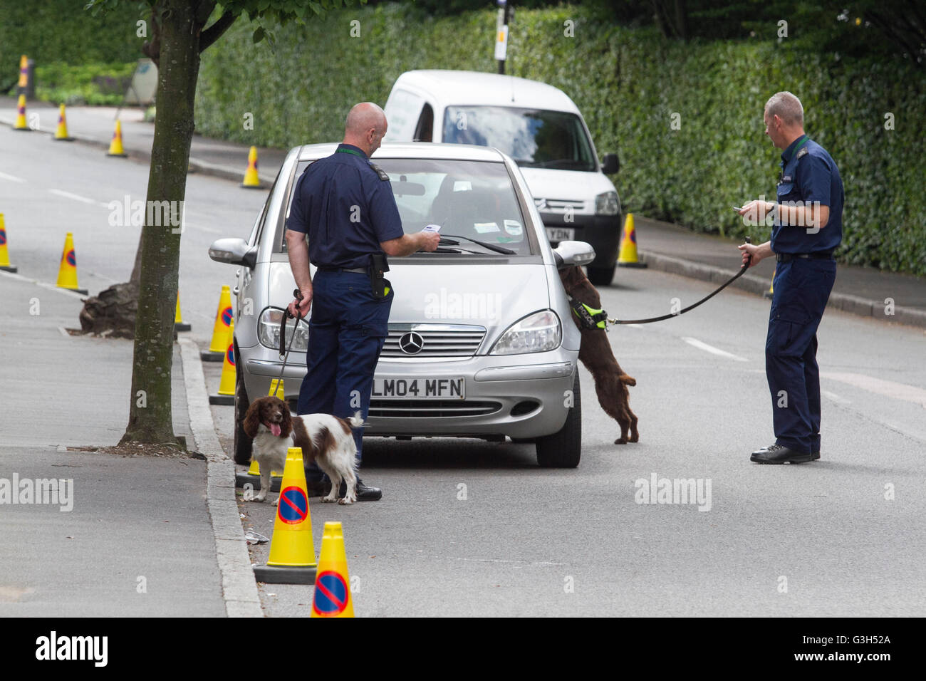 Wimbledon London, UK. 25. Juni 2016.  Mit Spürhunden Polizeistreife außerhalb AELTC im Rahmen des anti-terroristischen Sicherheitsmaßnahmen vor den 2016 Wimbledon Tennis Championships Kredit erhöht: Amer Ghazzal/Alamy Live-Nachrichten Stockfoto